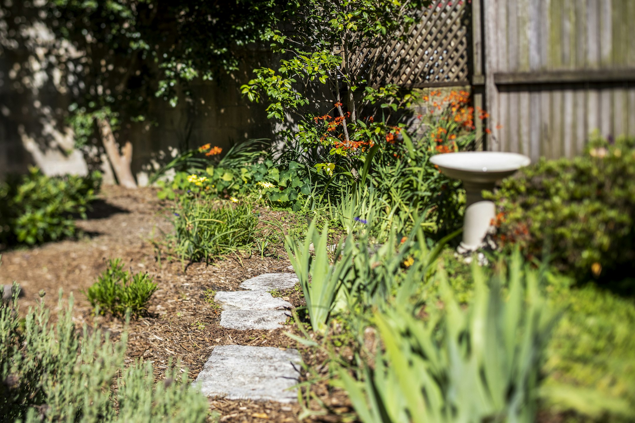 garden