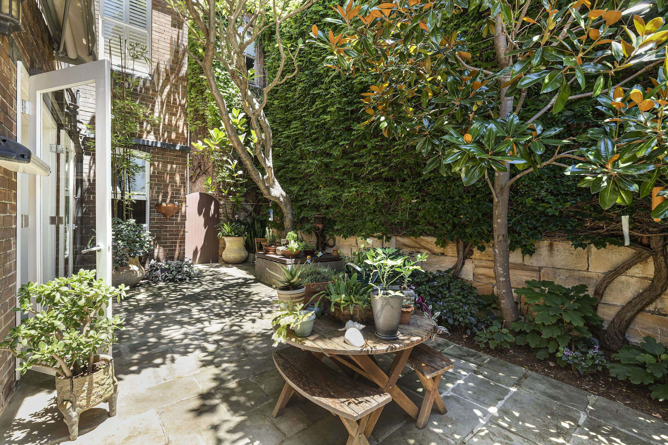 garden