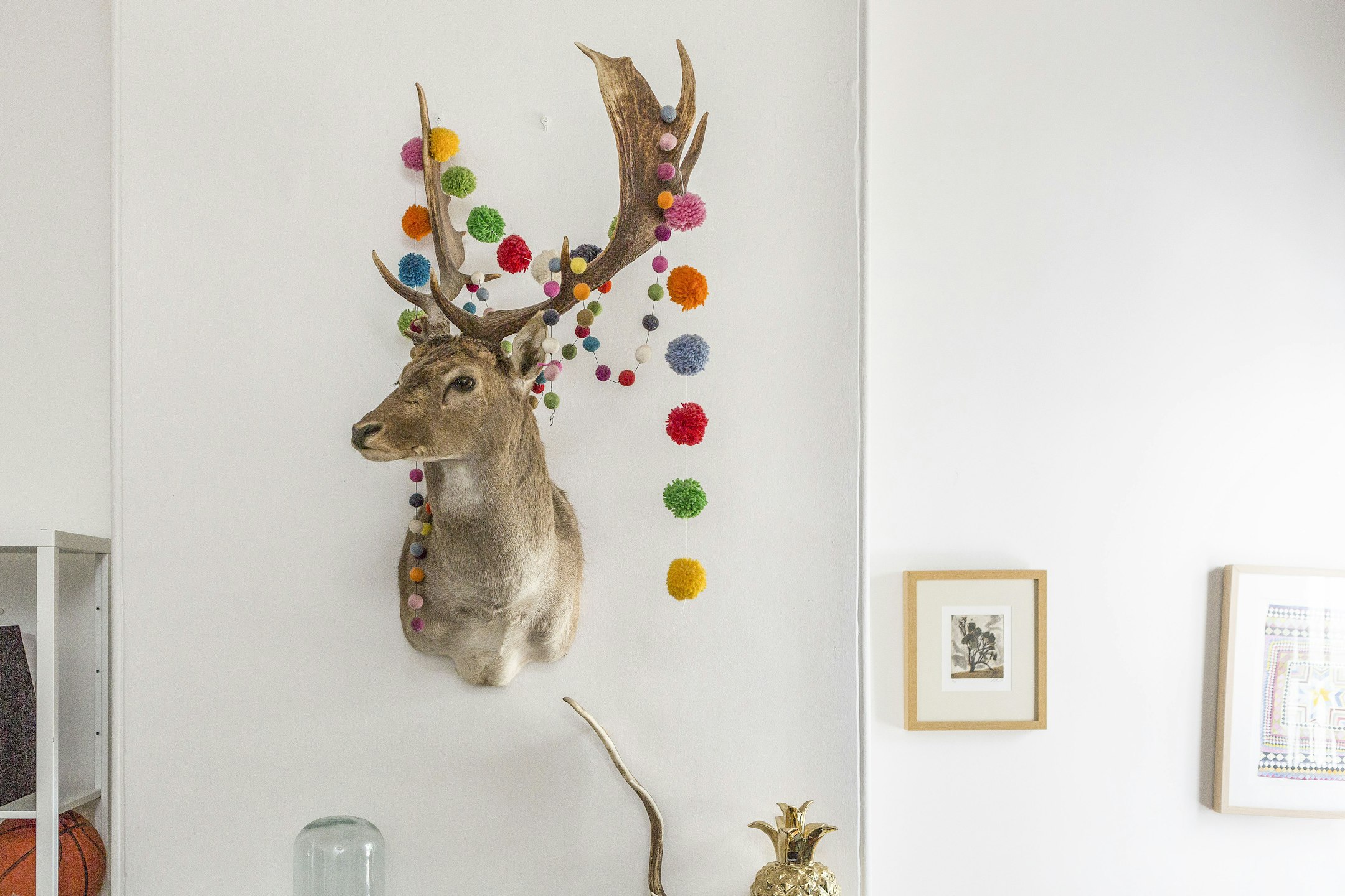 antler
