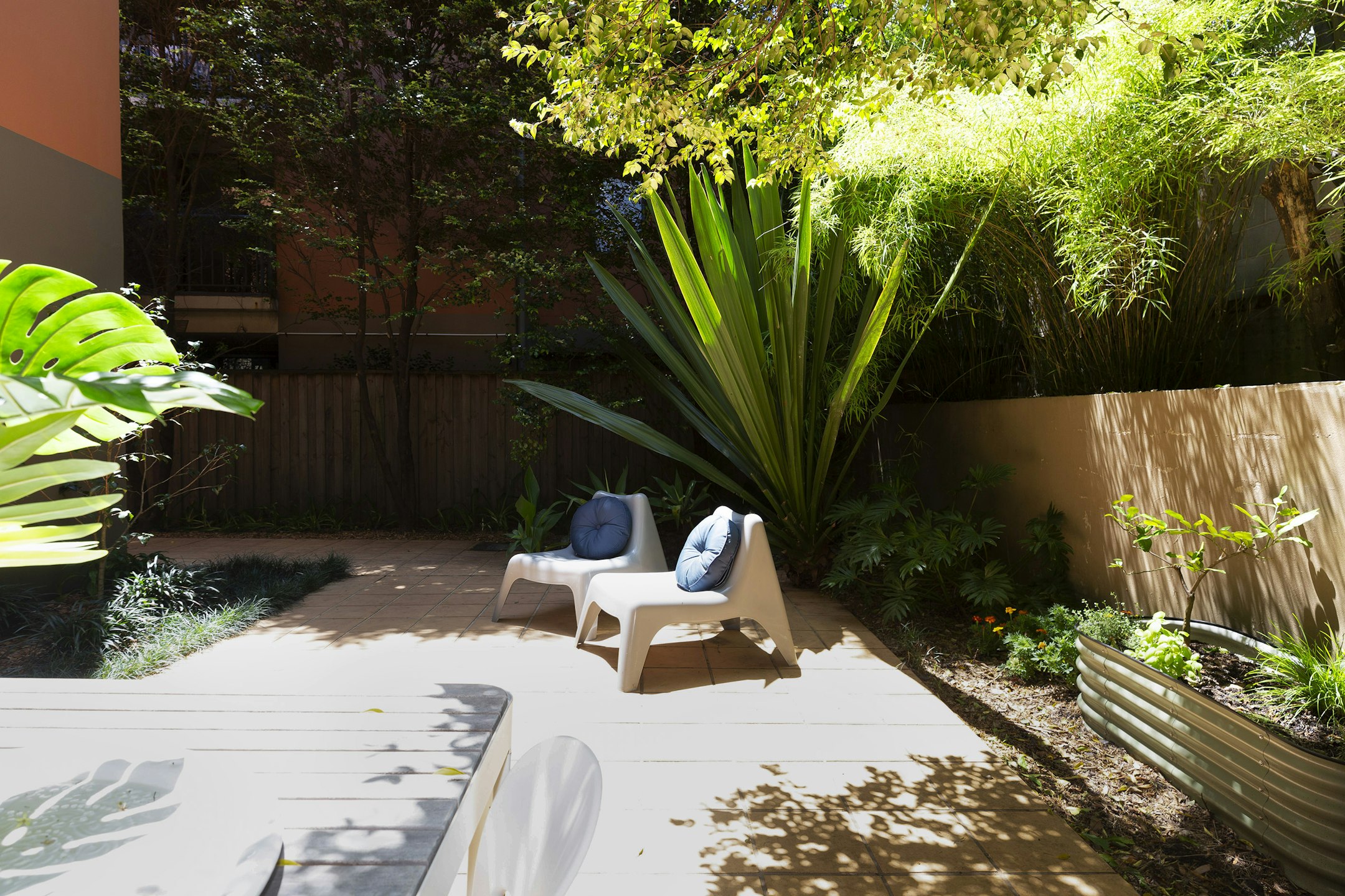 backyard