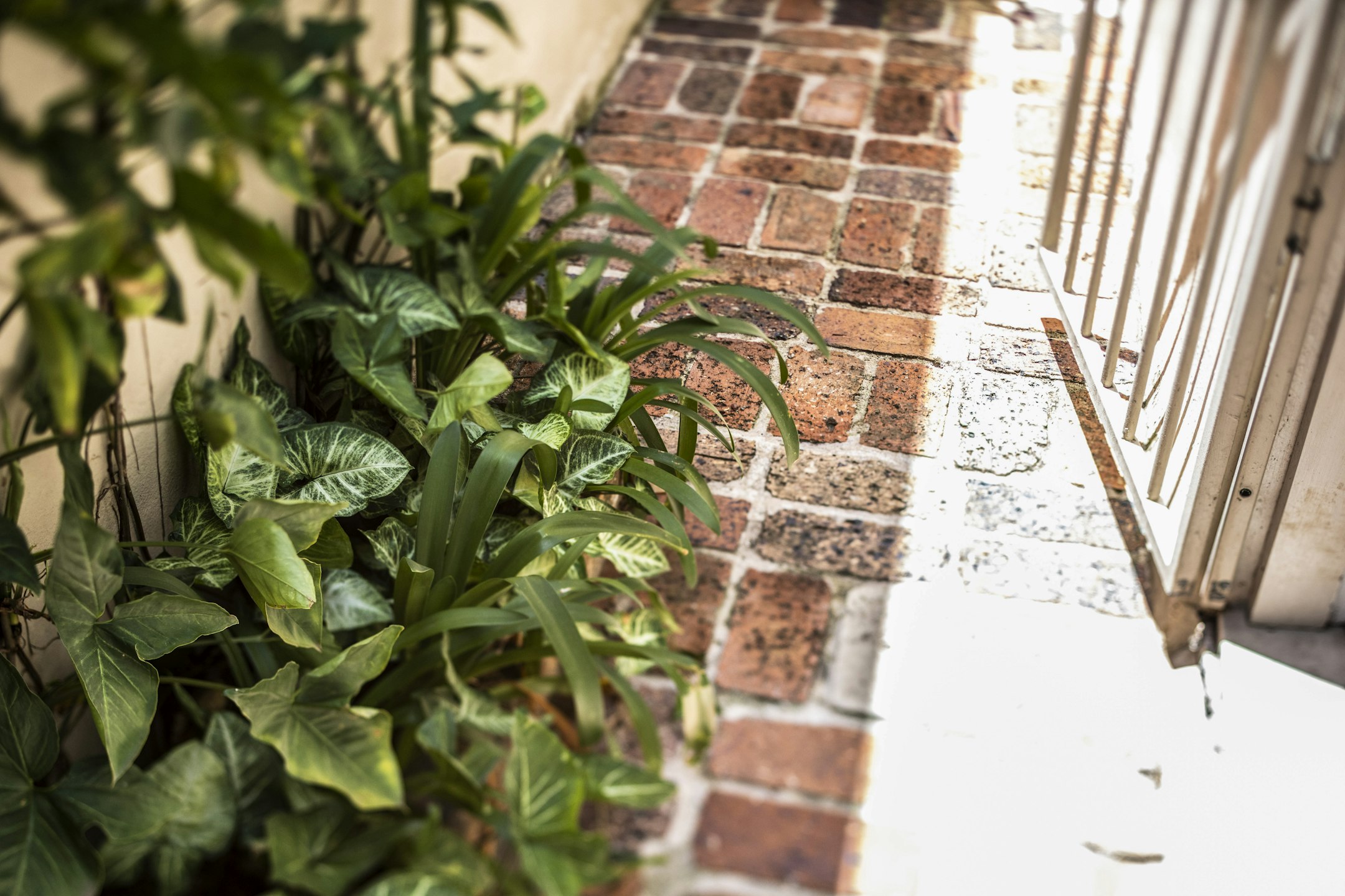 path