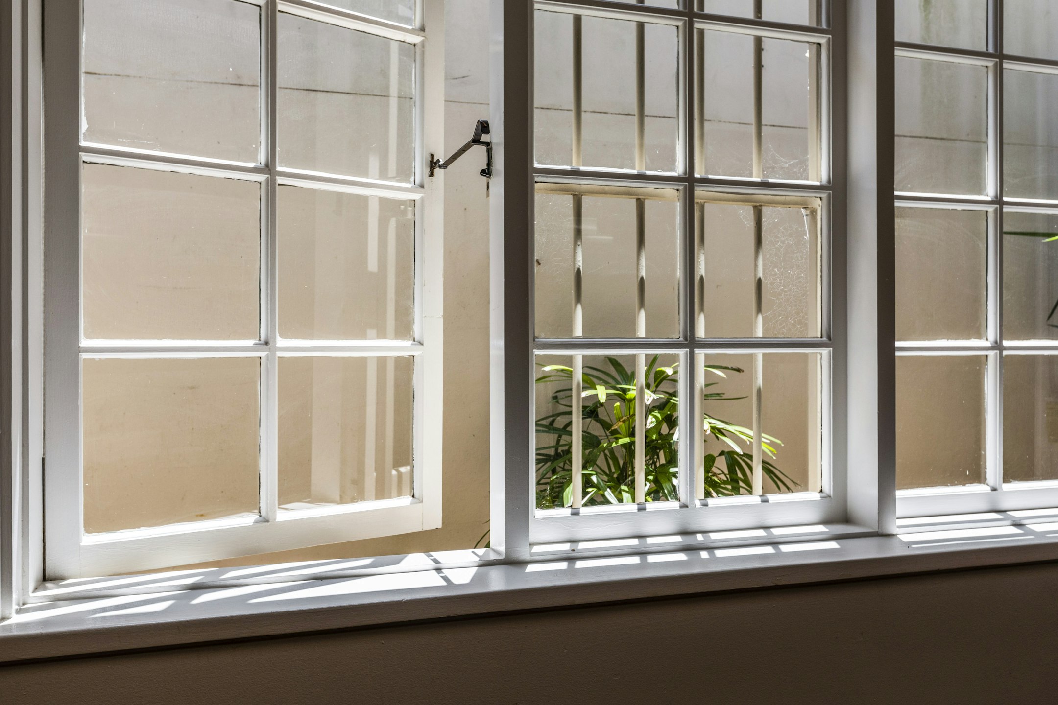 window