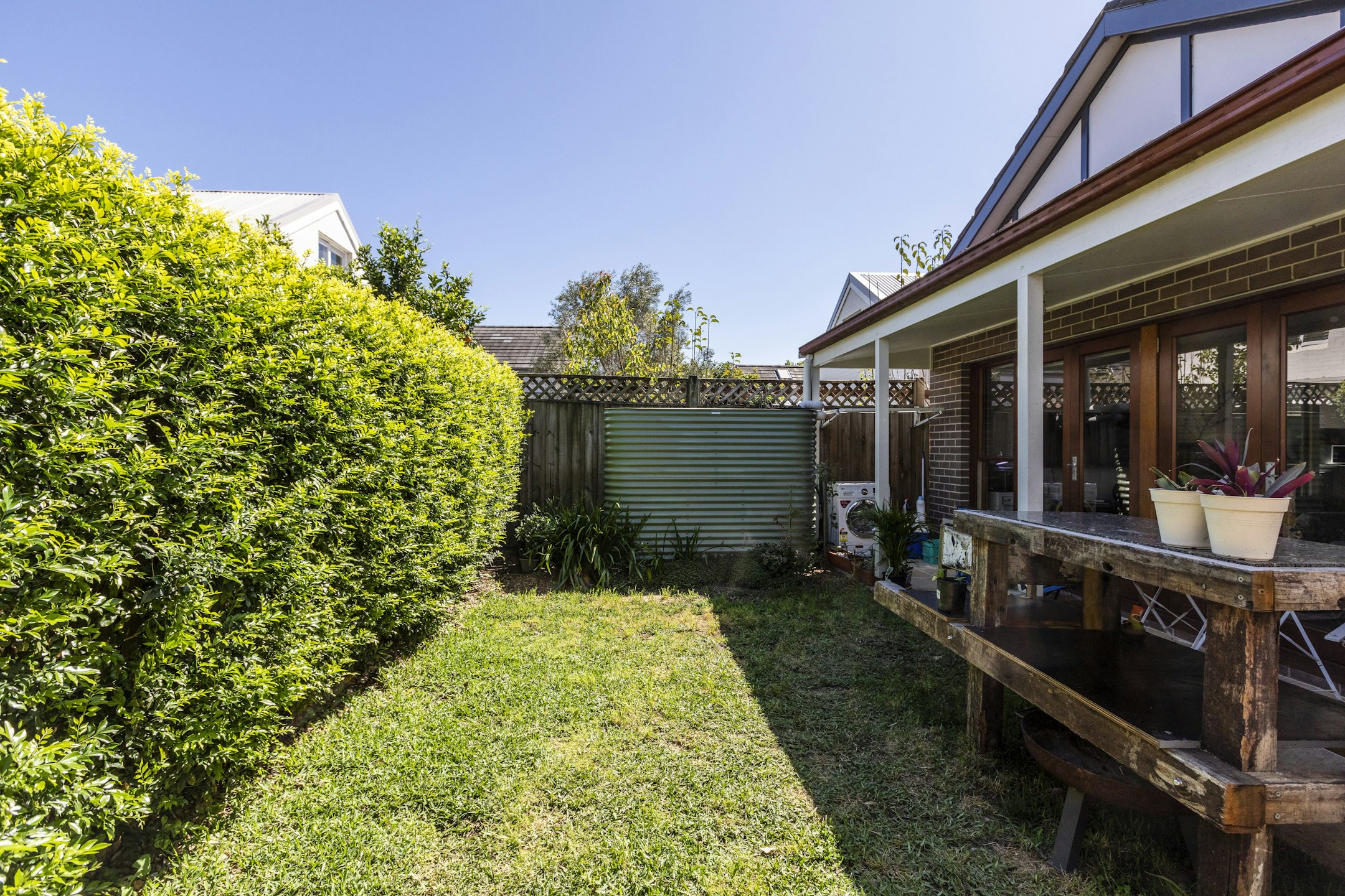 backyard