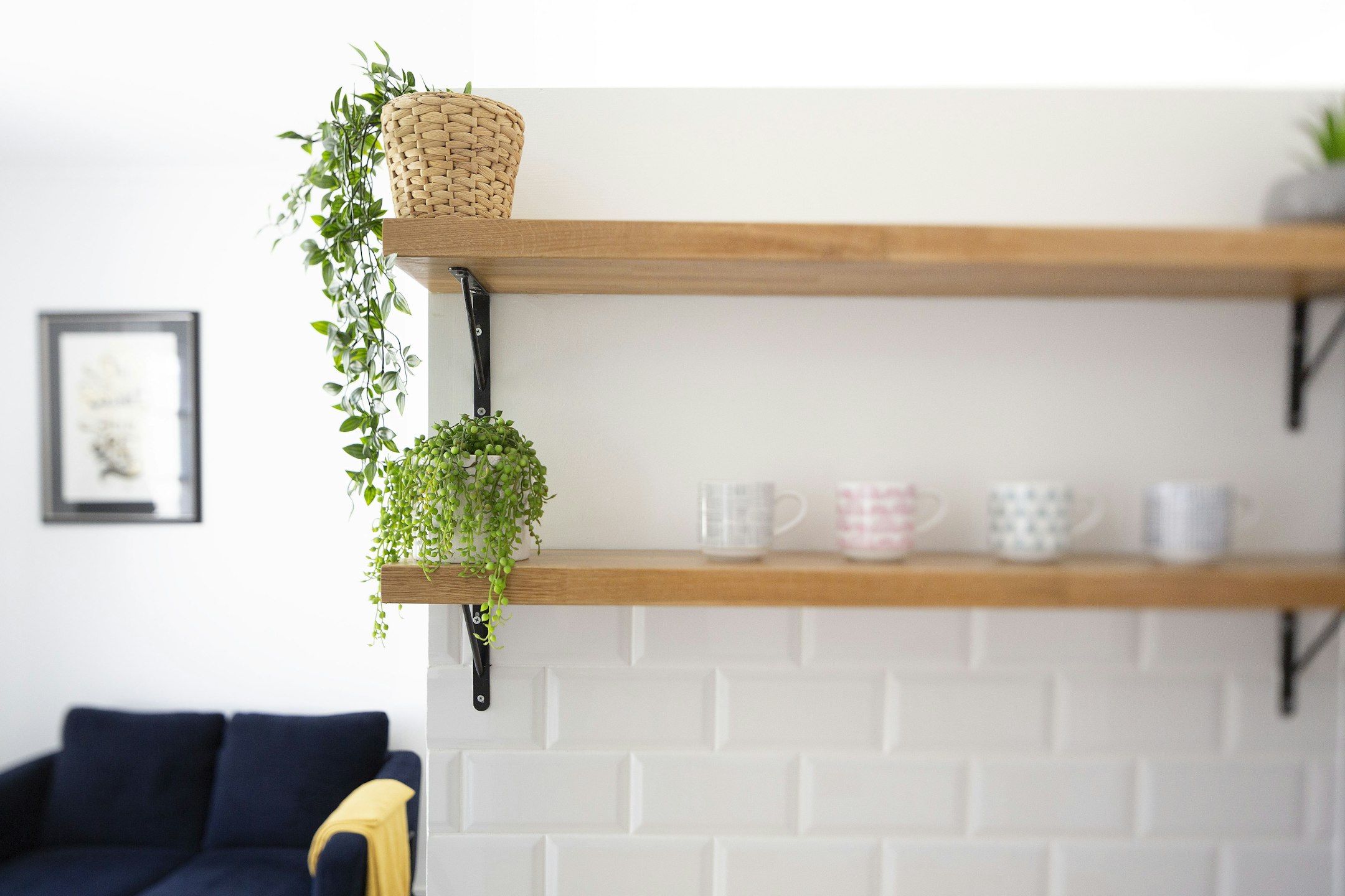 shelf