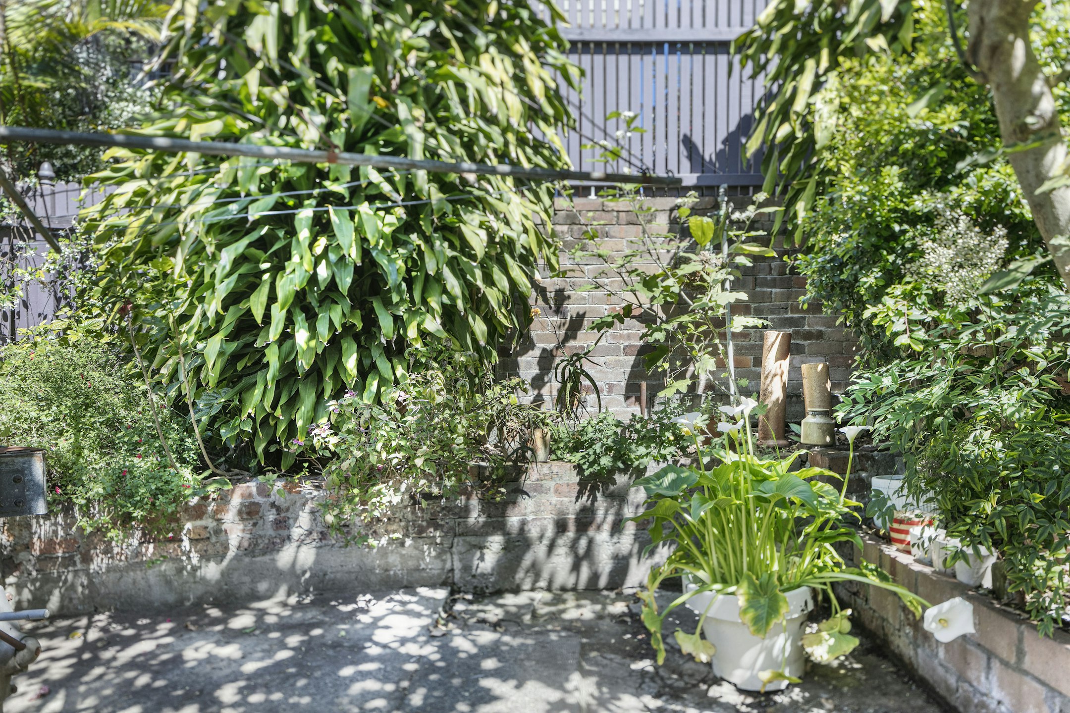 garden