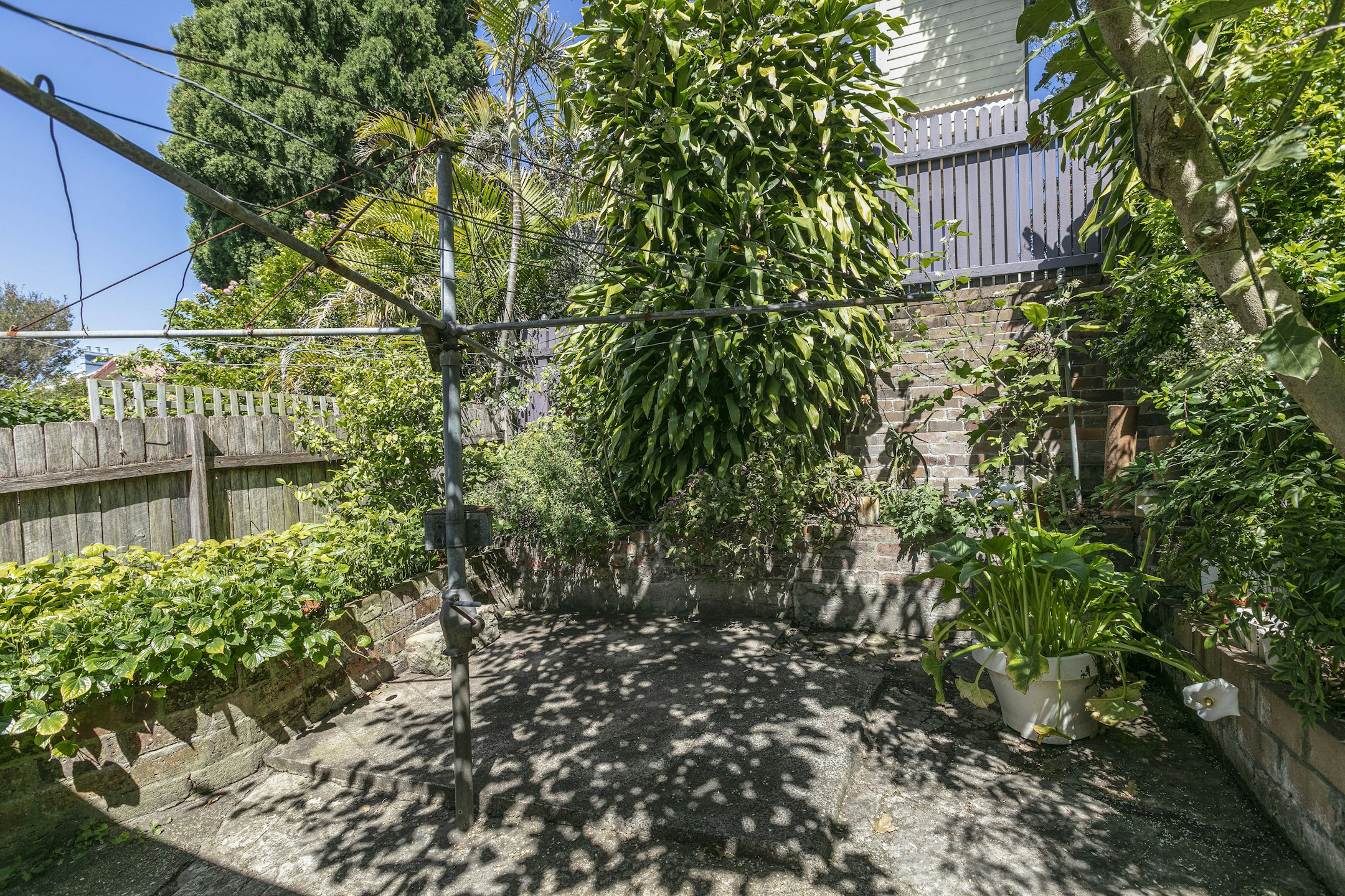 garden