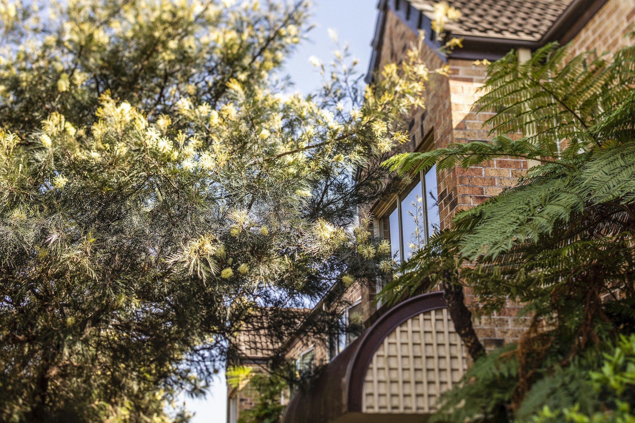 garden