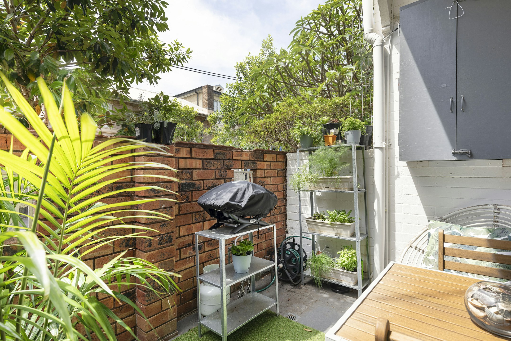 garden