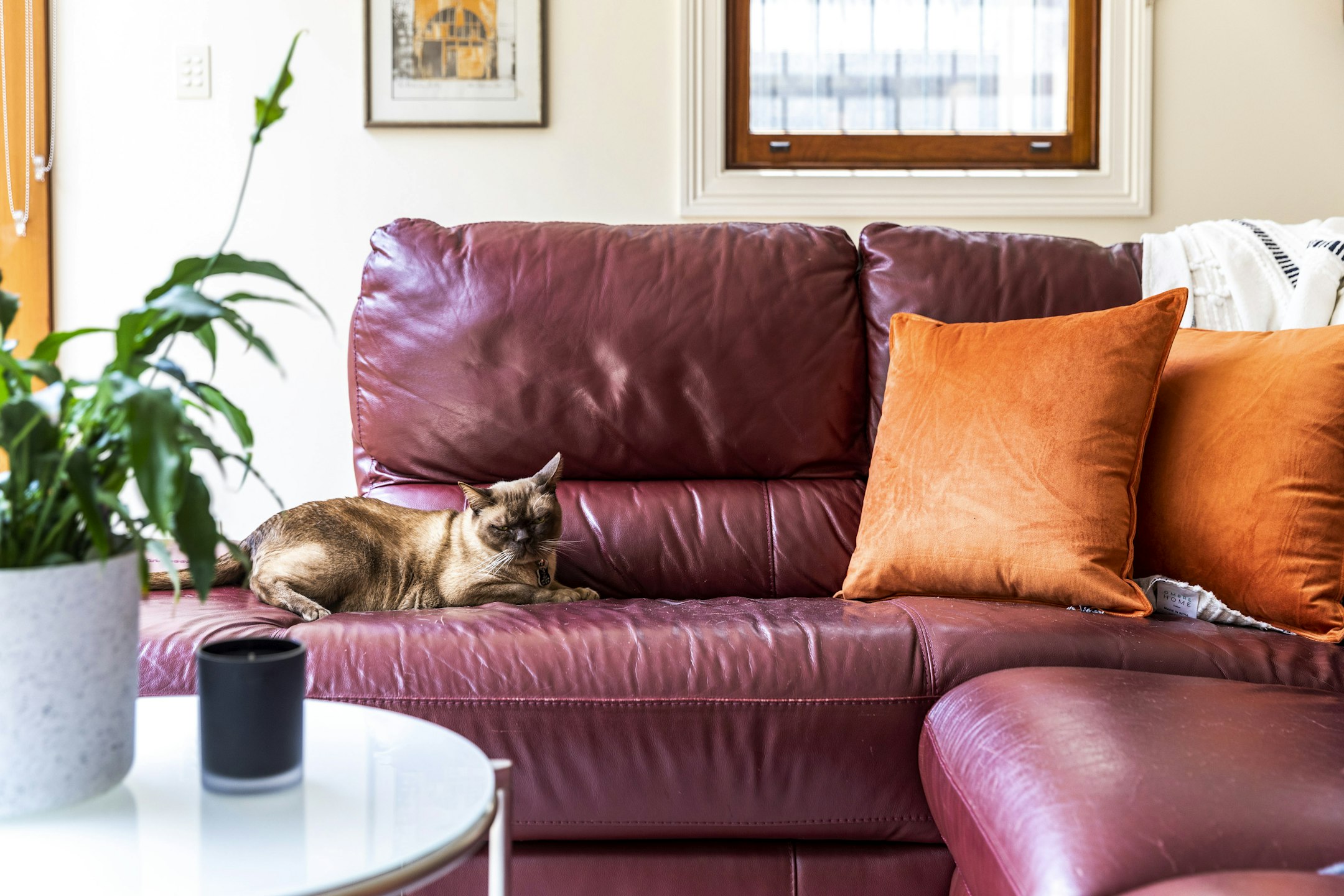 couch