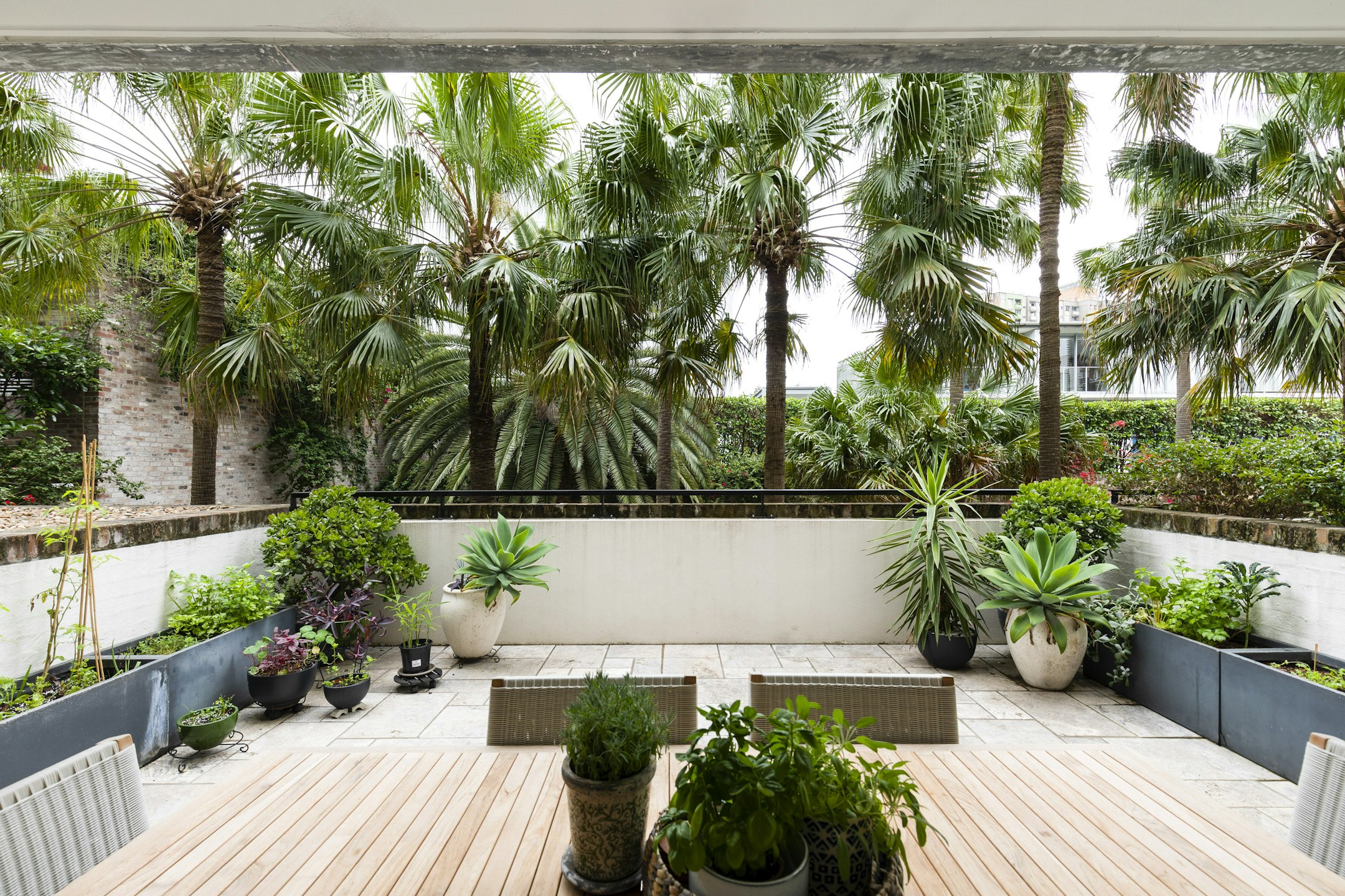 garden