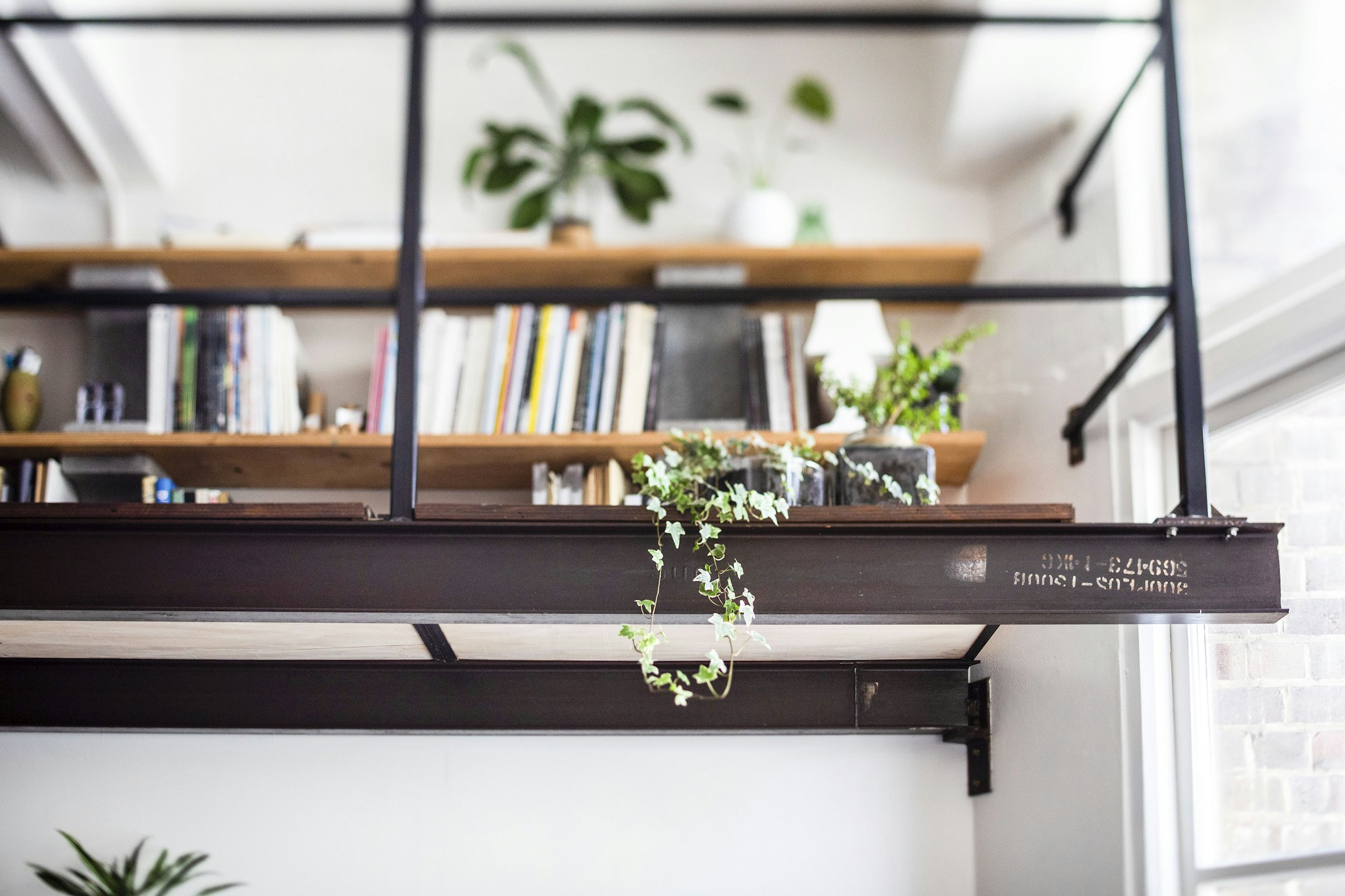 shelf