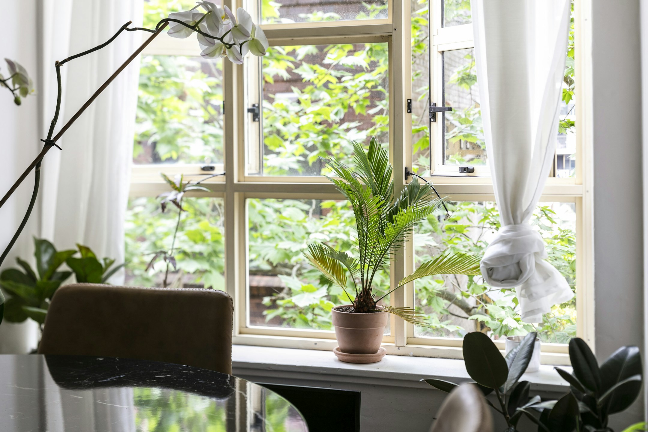 window