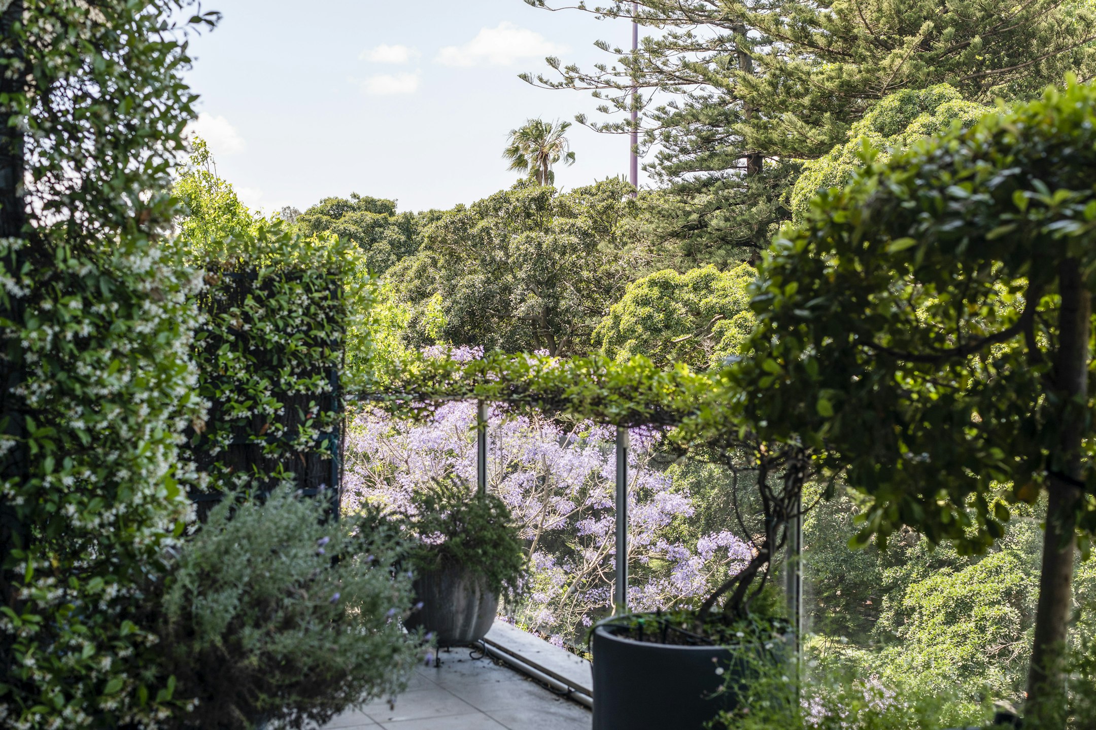 garden
