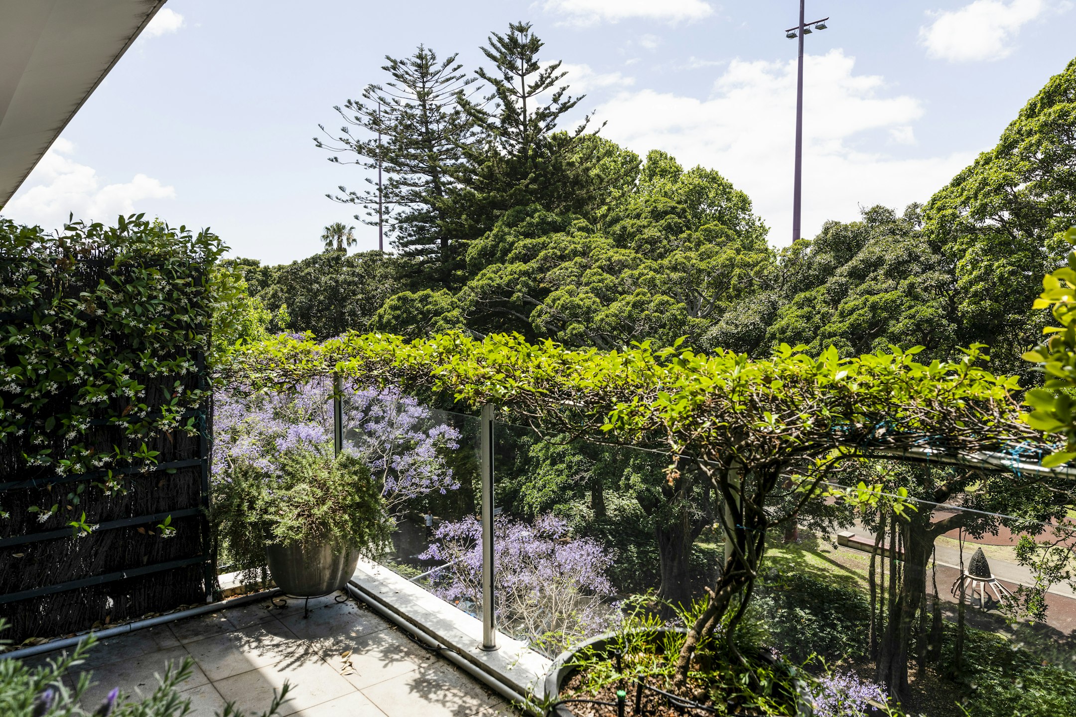 garden