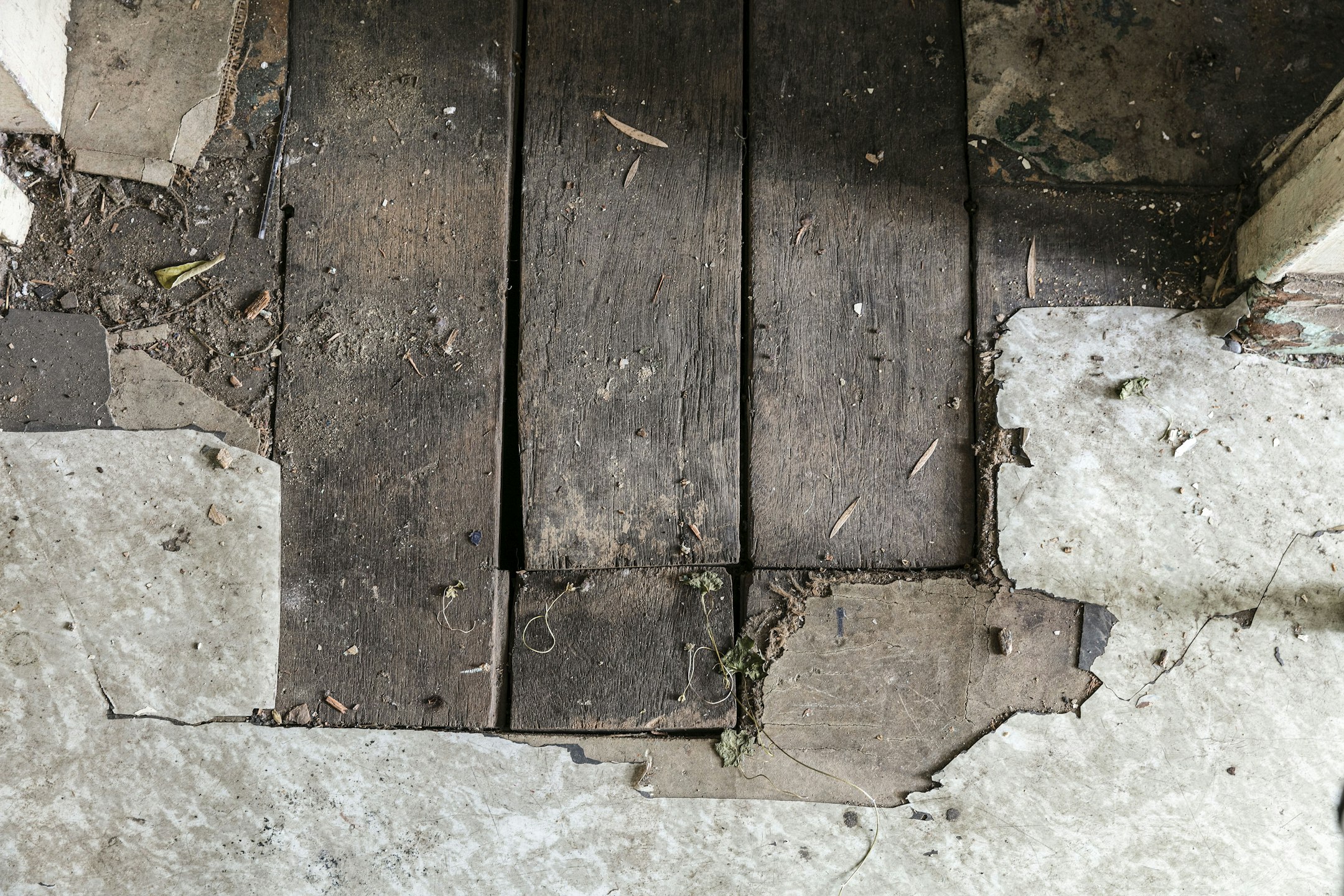 wood