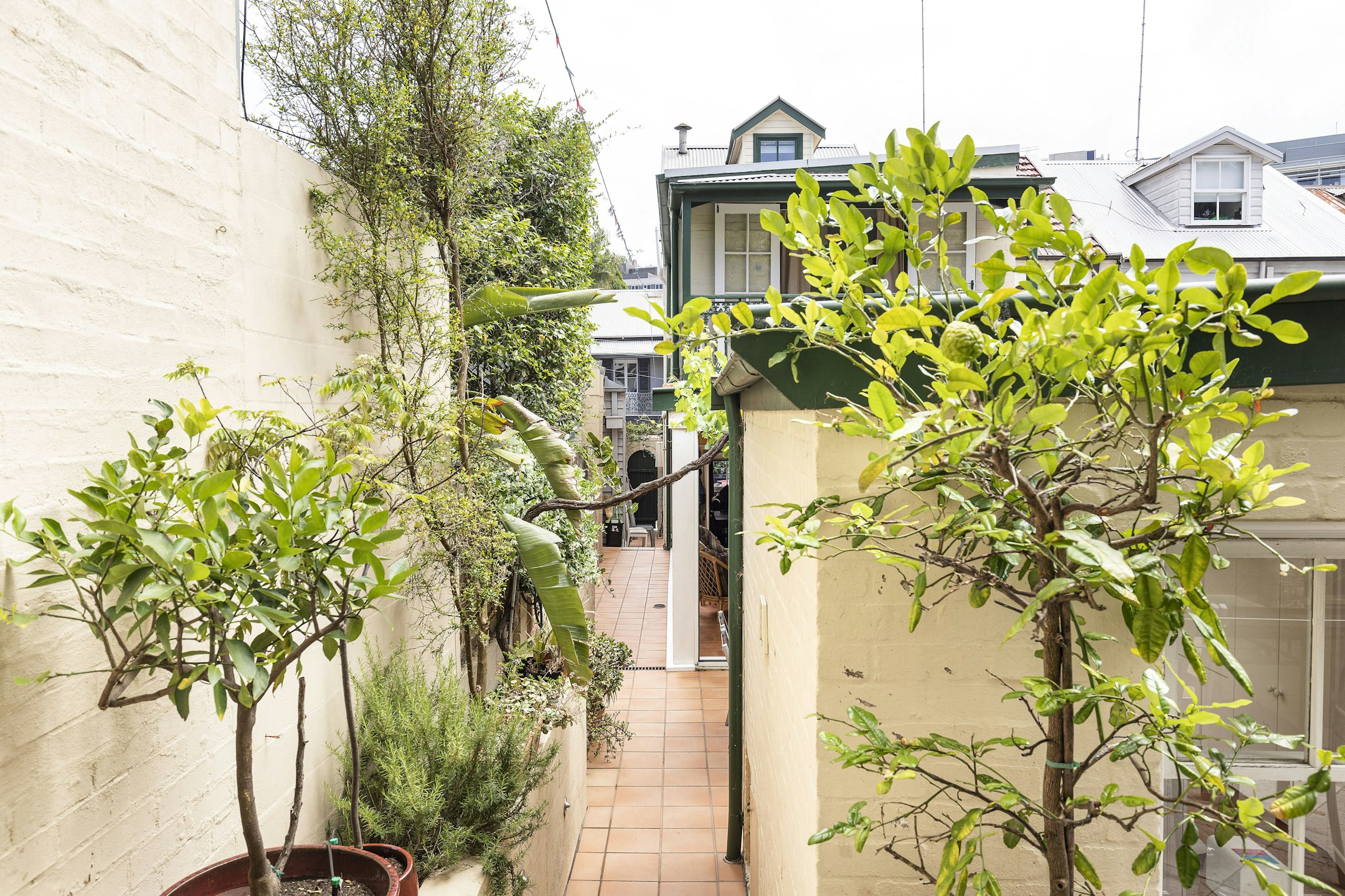 garden