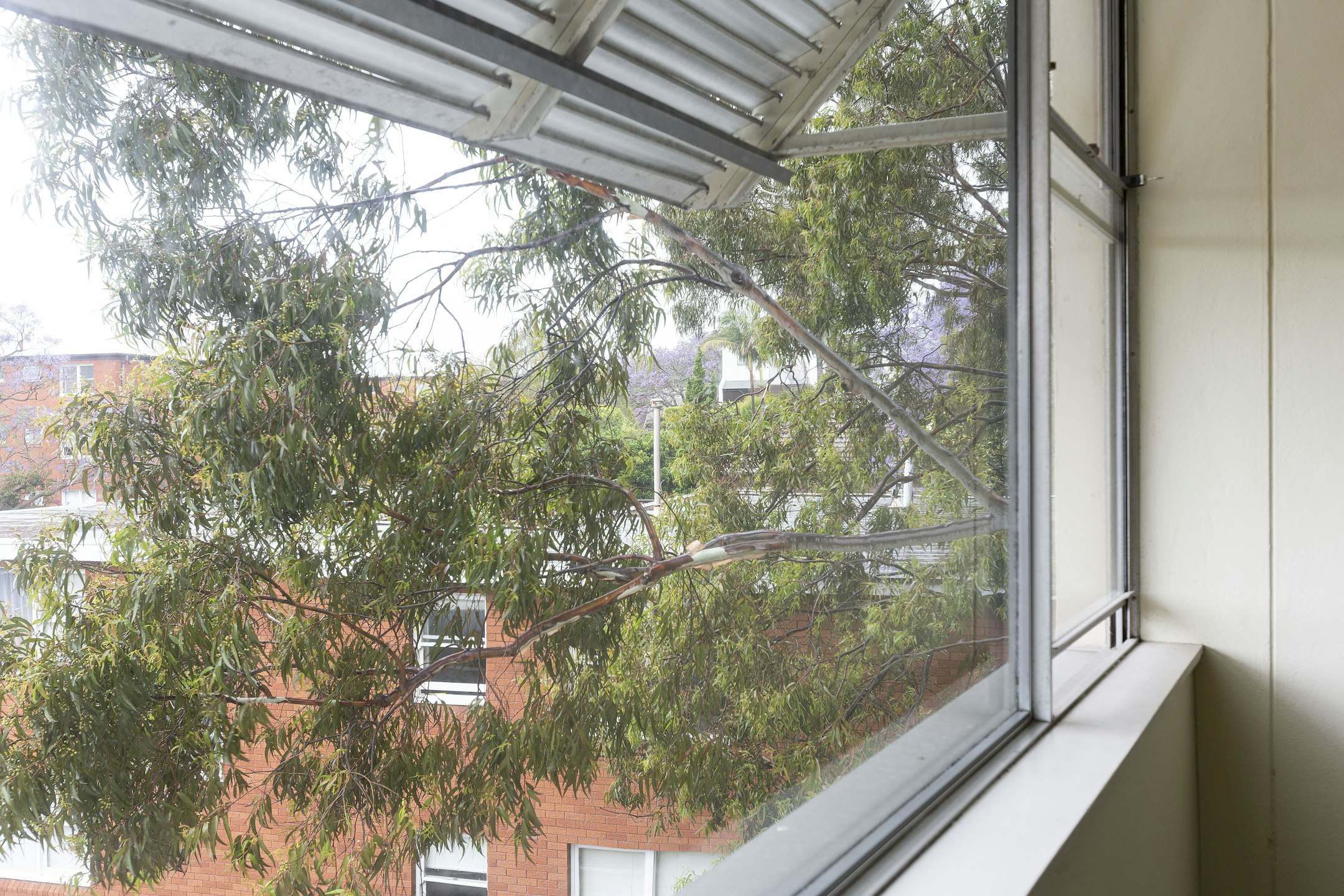 window