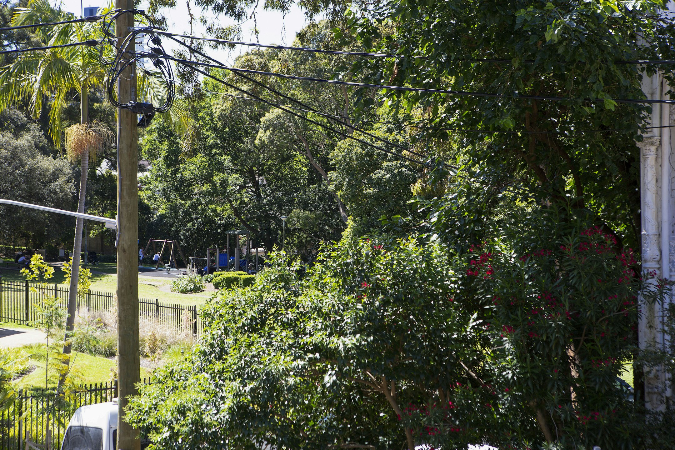 garden