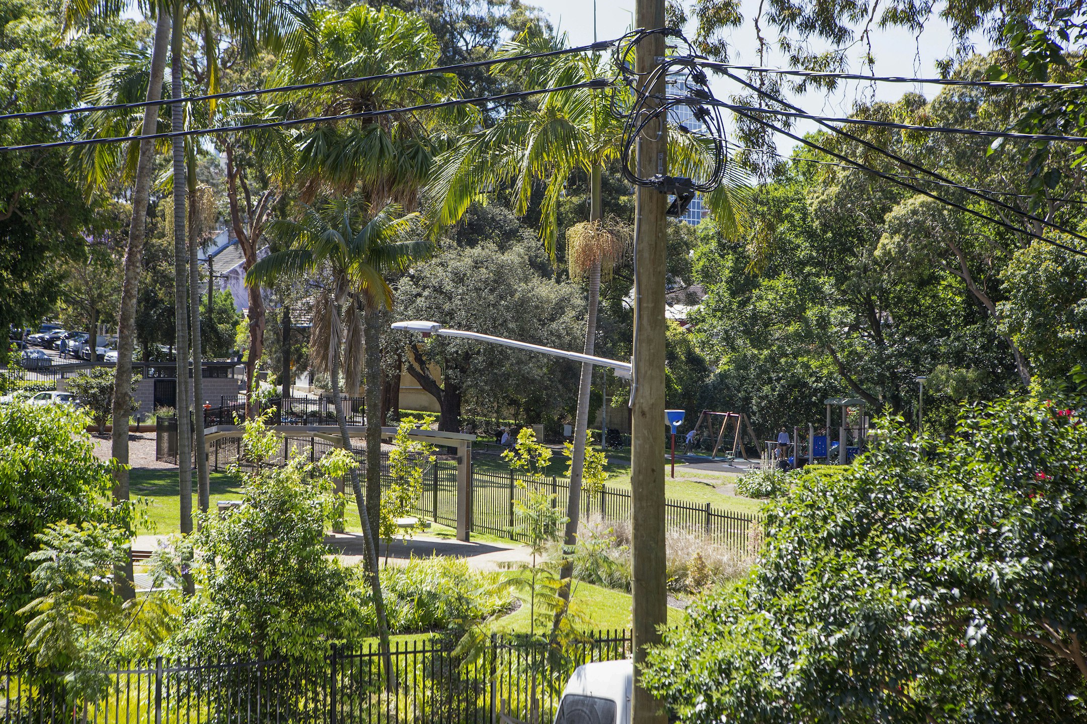garden