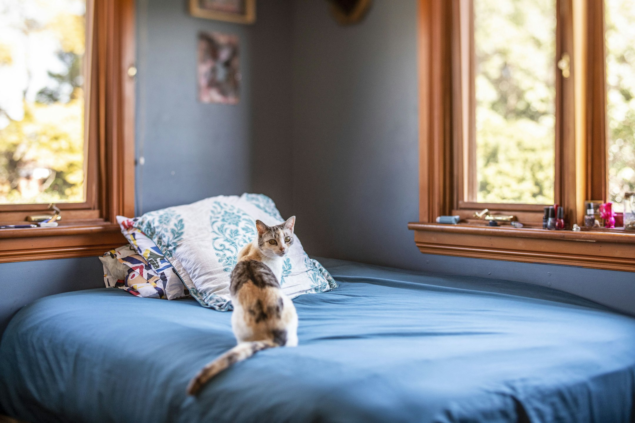 bed