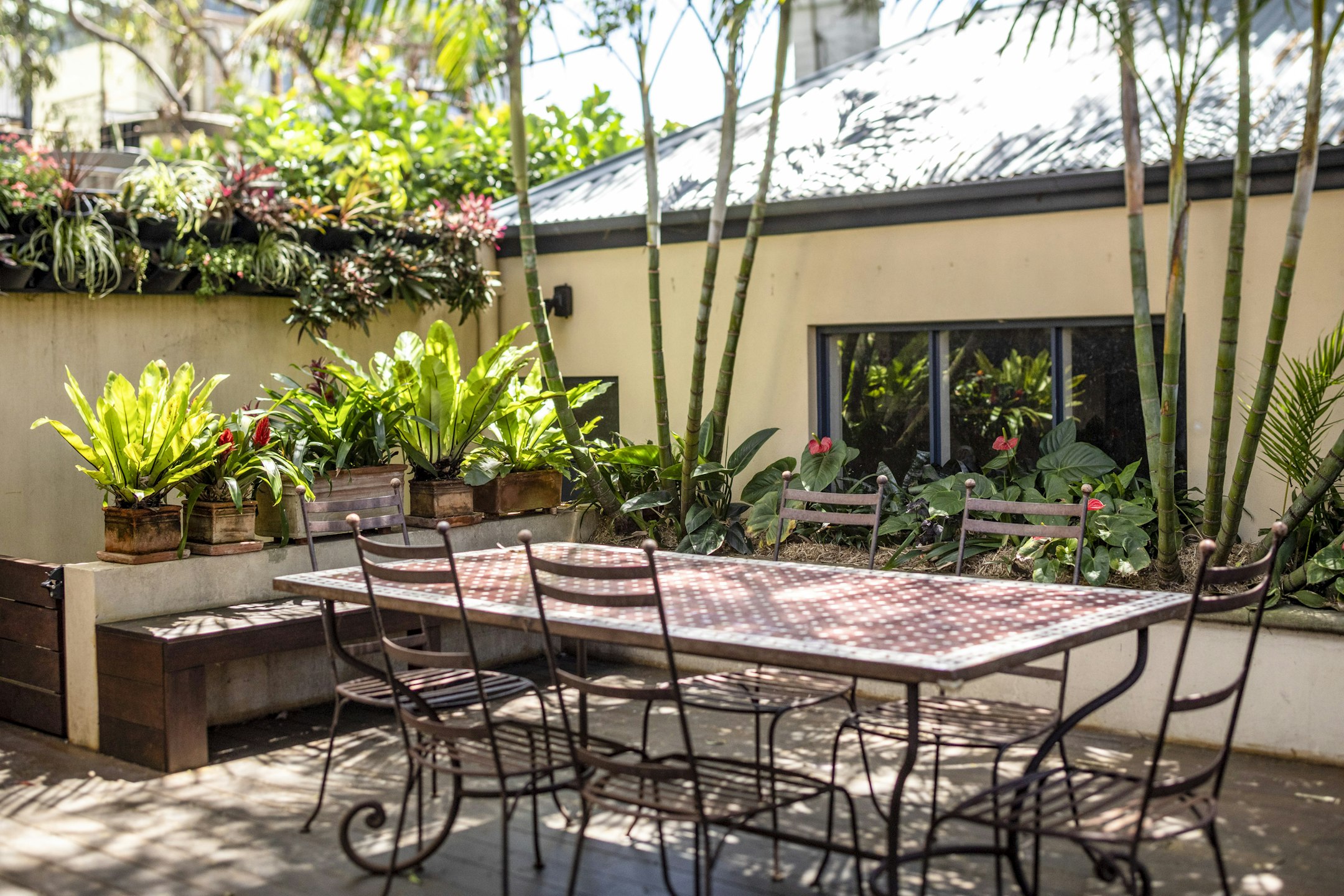 garden