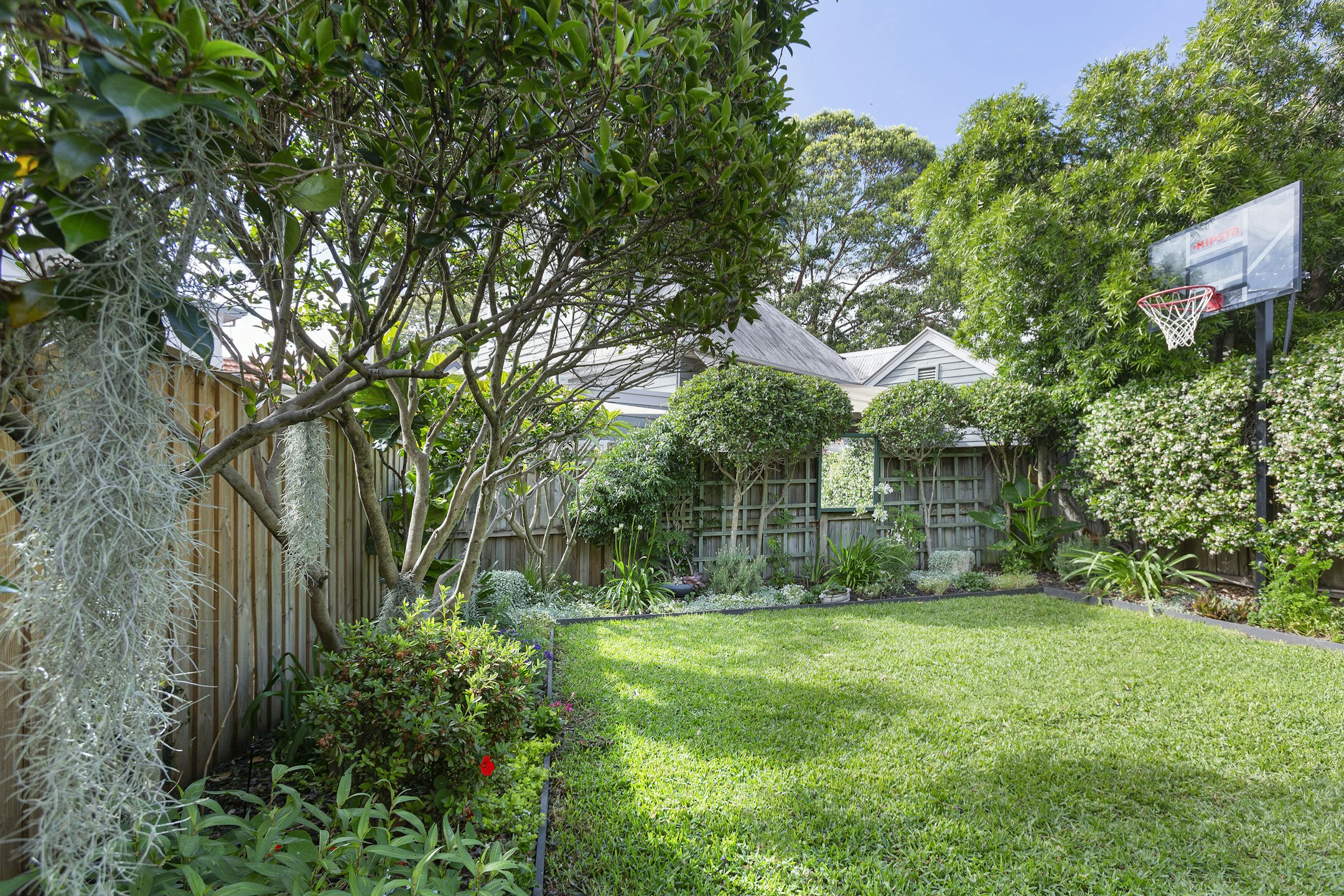 garden