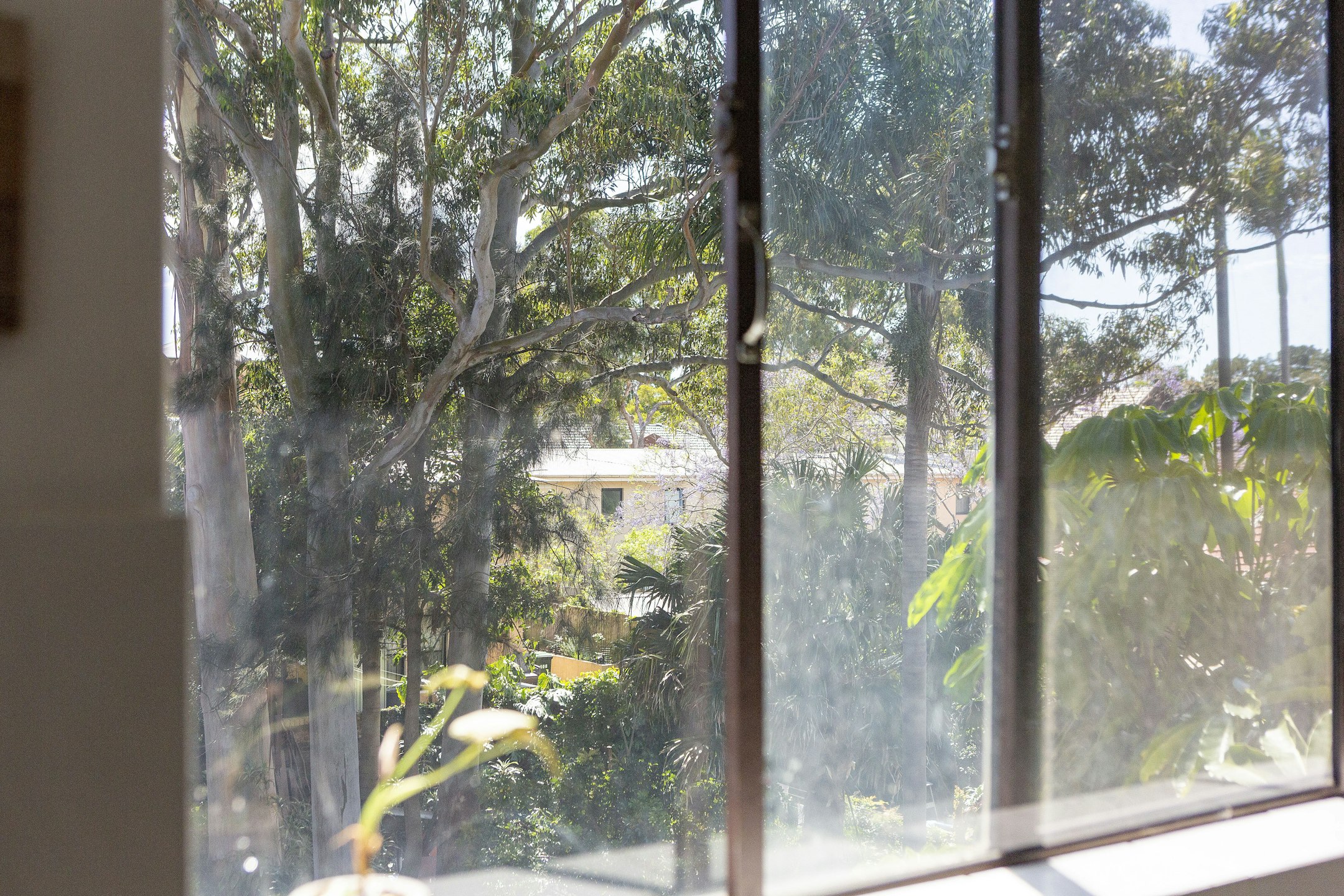 window