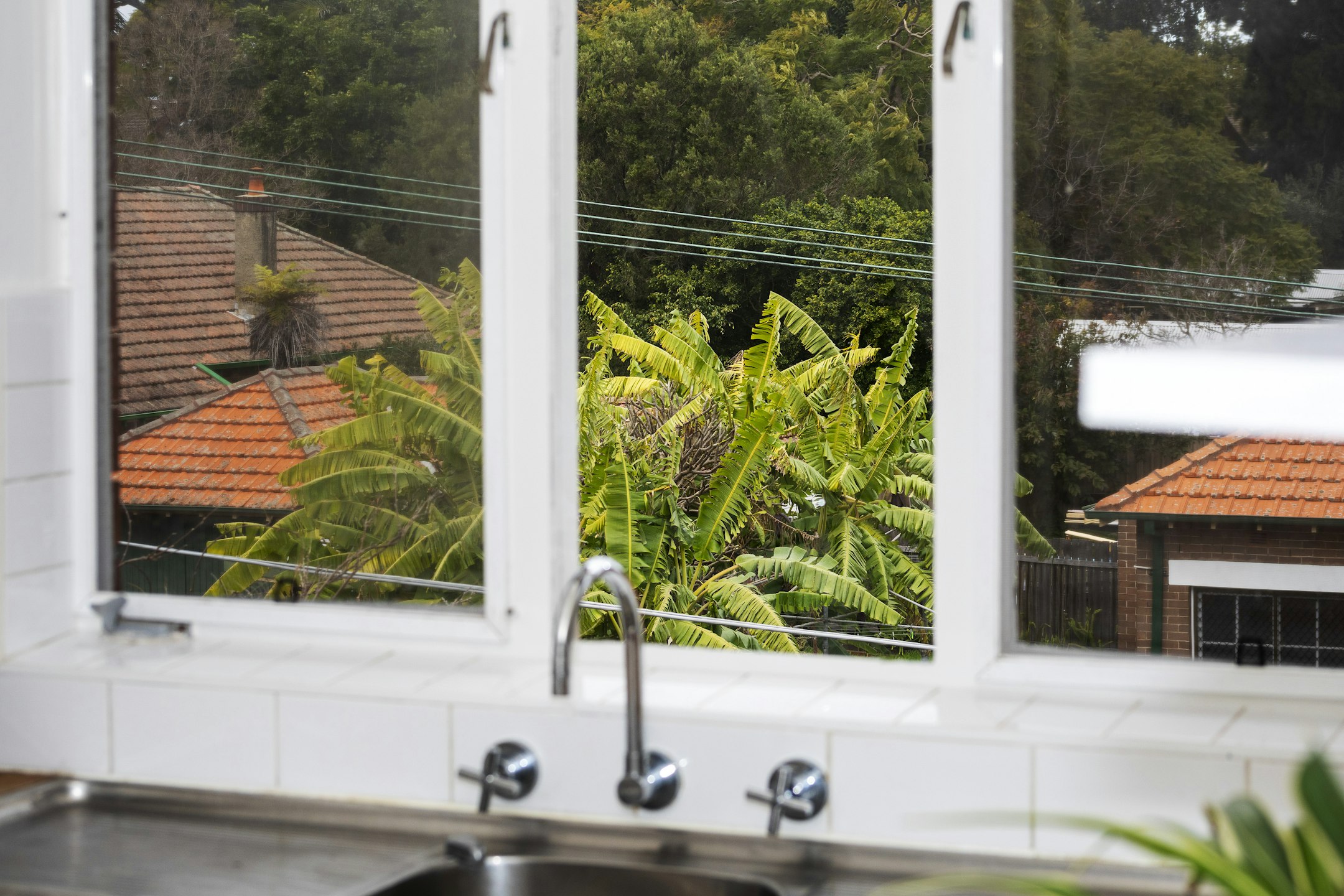 window