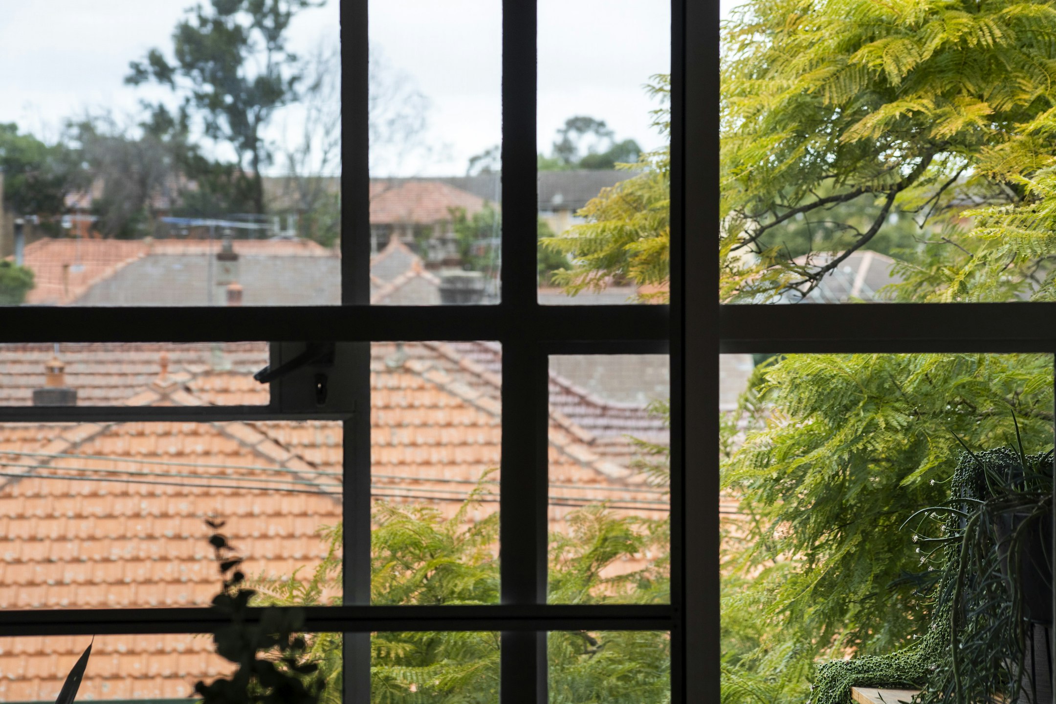 window
