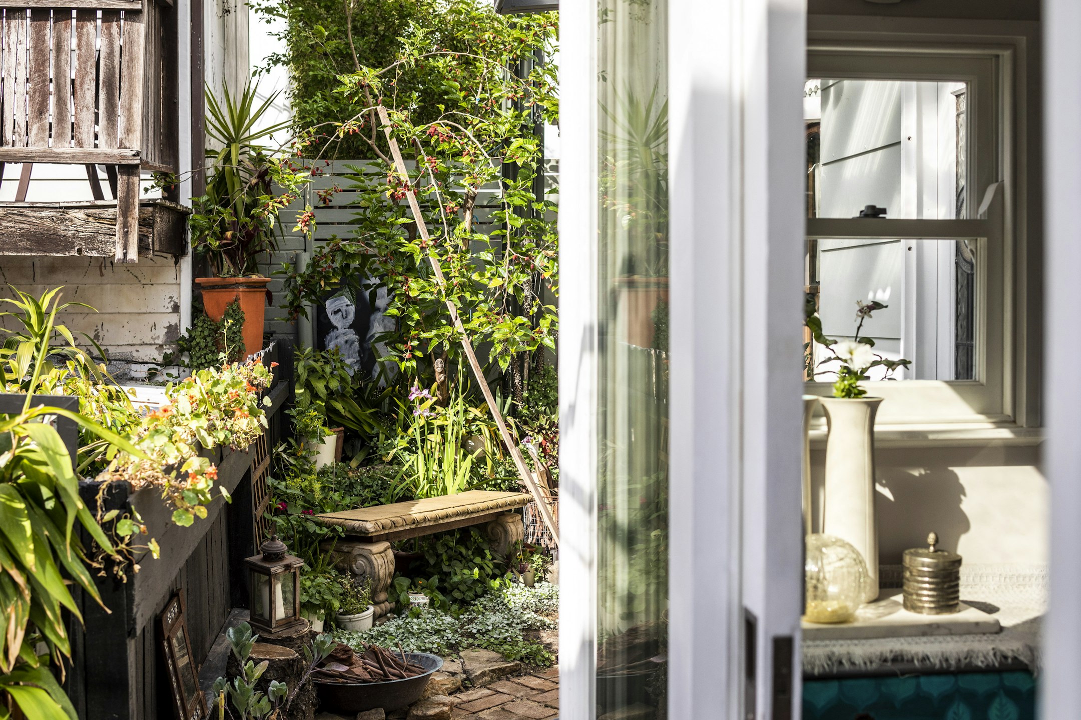 garden