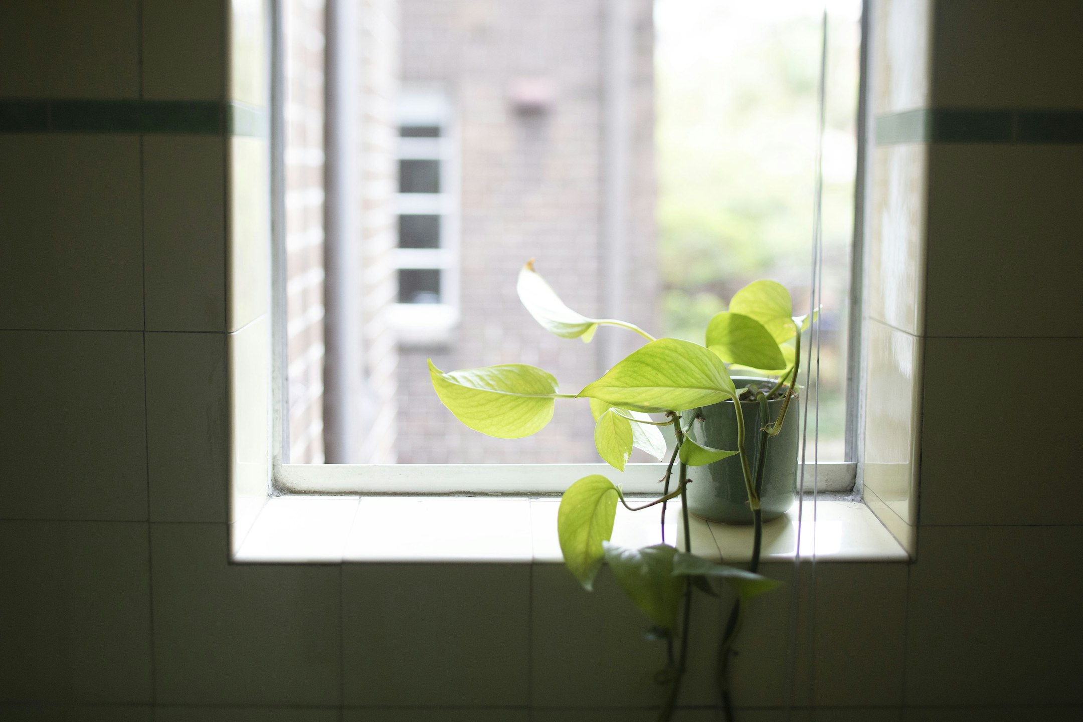 window