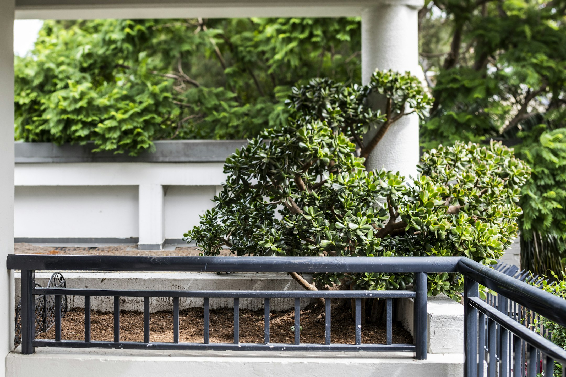 handrail