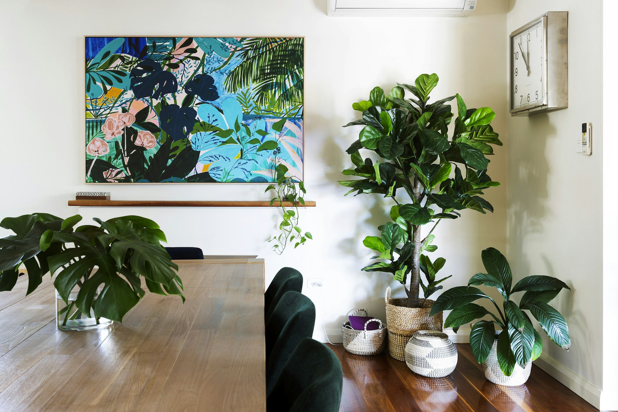 plant