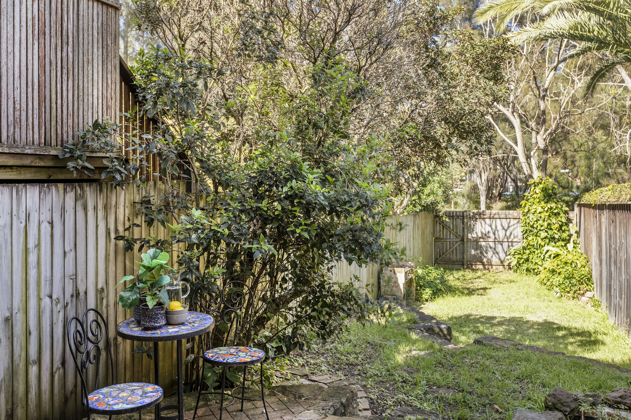 backyard