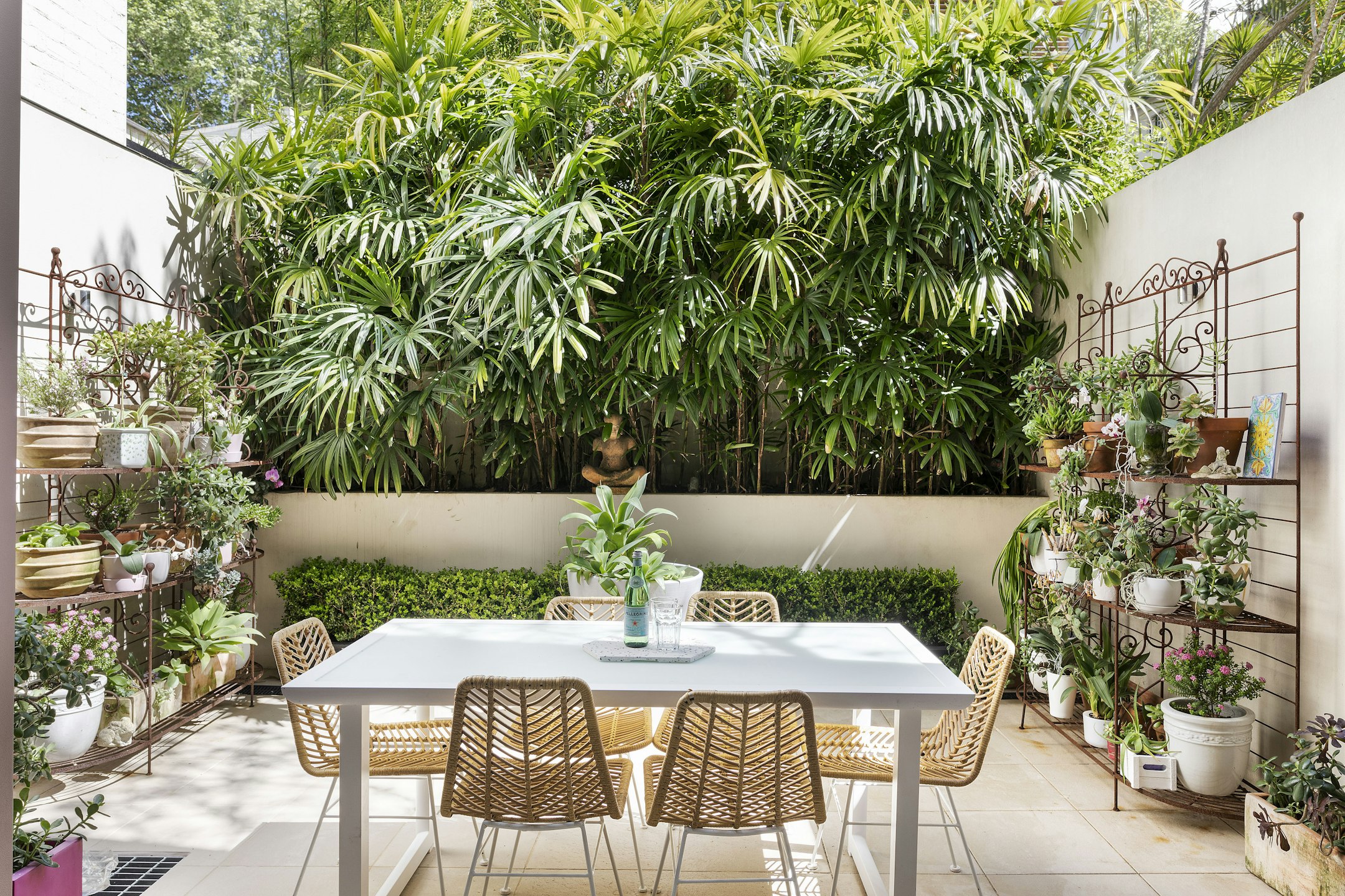 garden