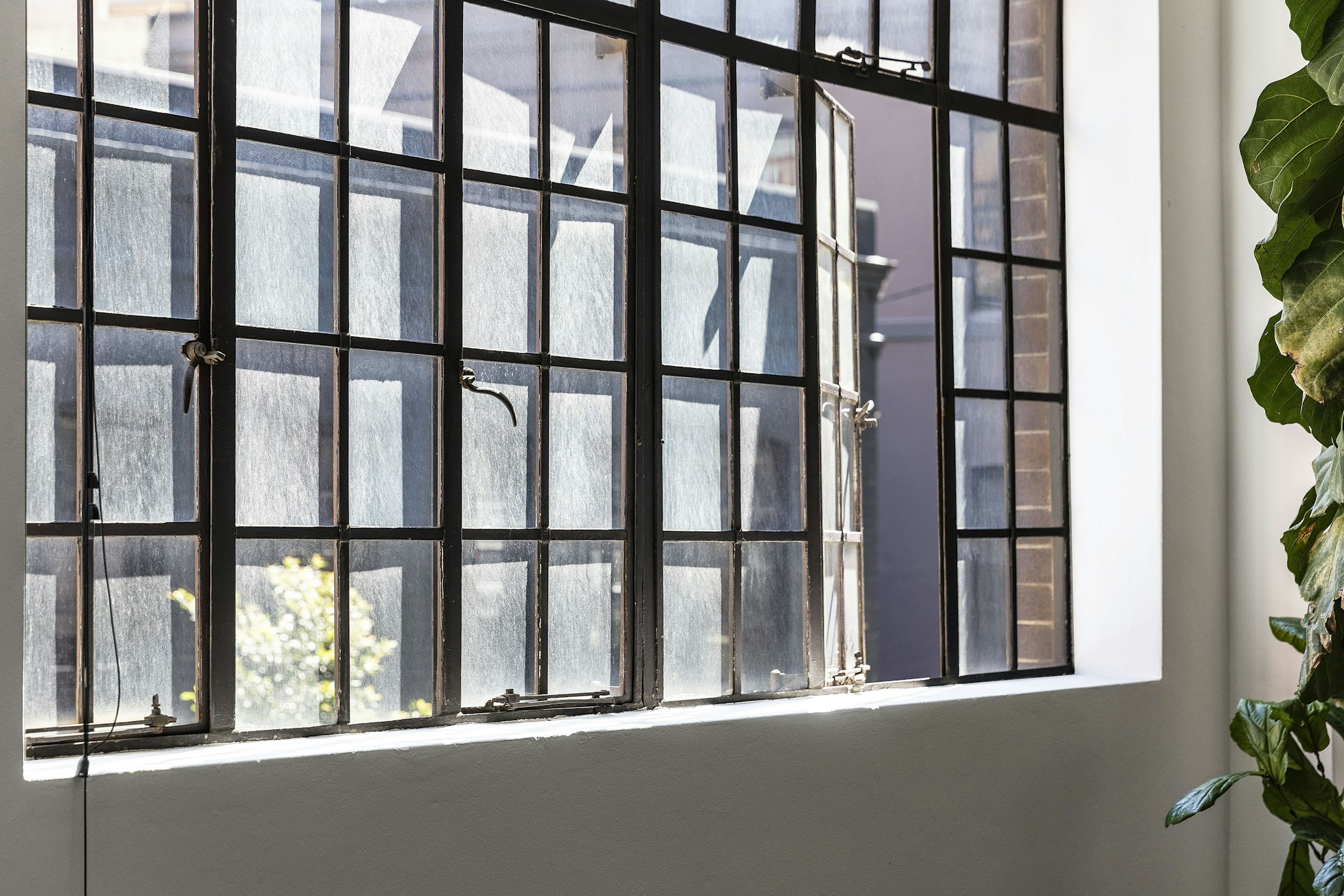 window