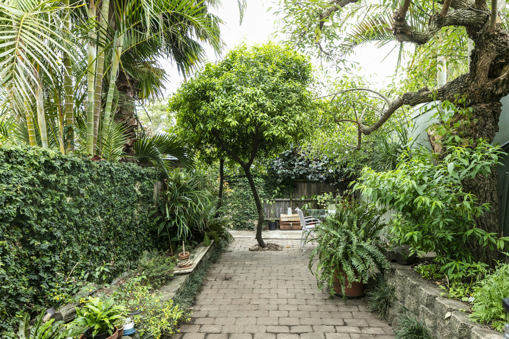 garden