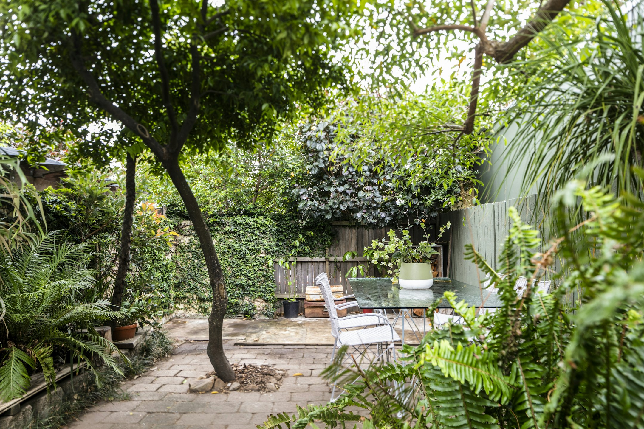 garden