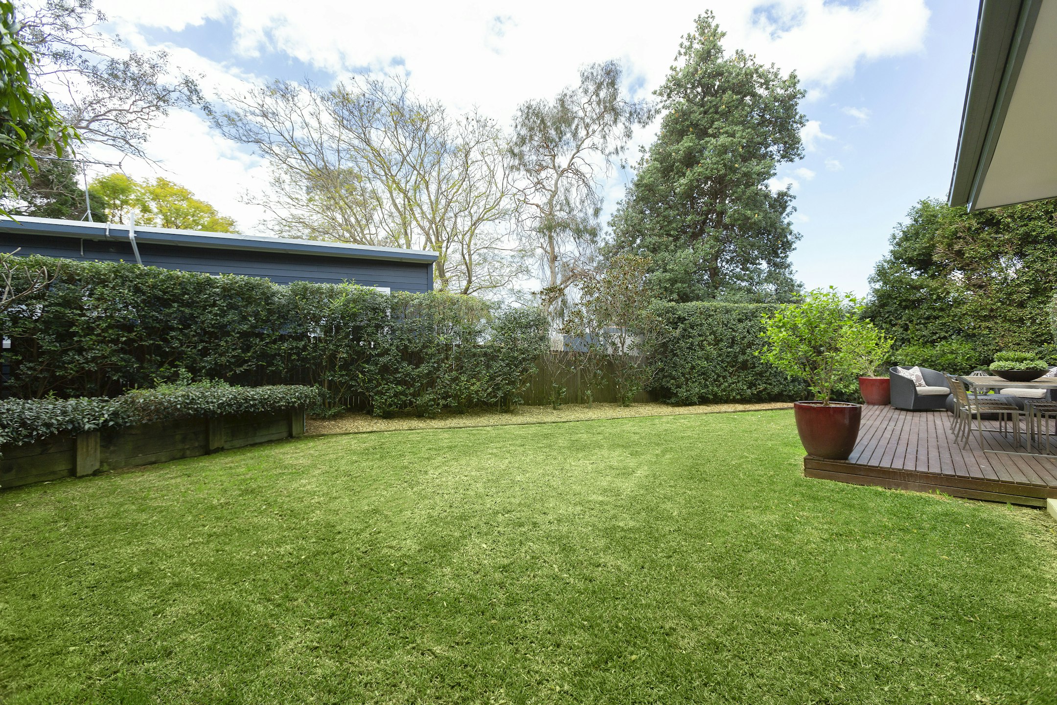grass