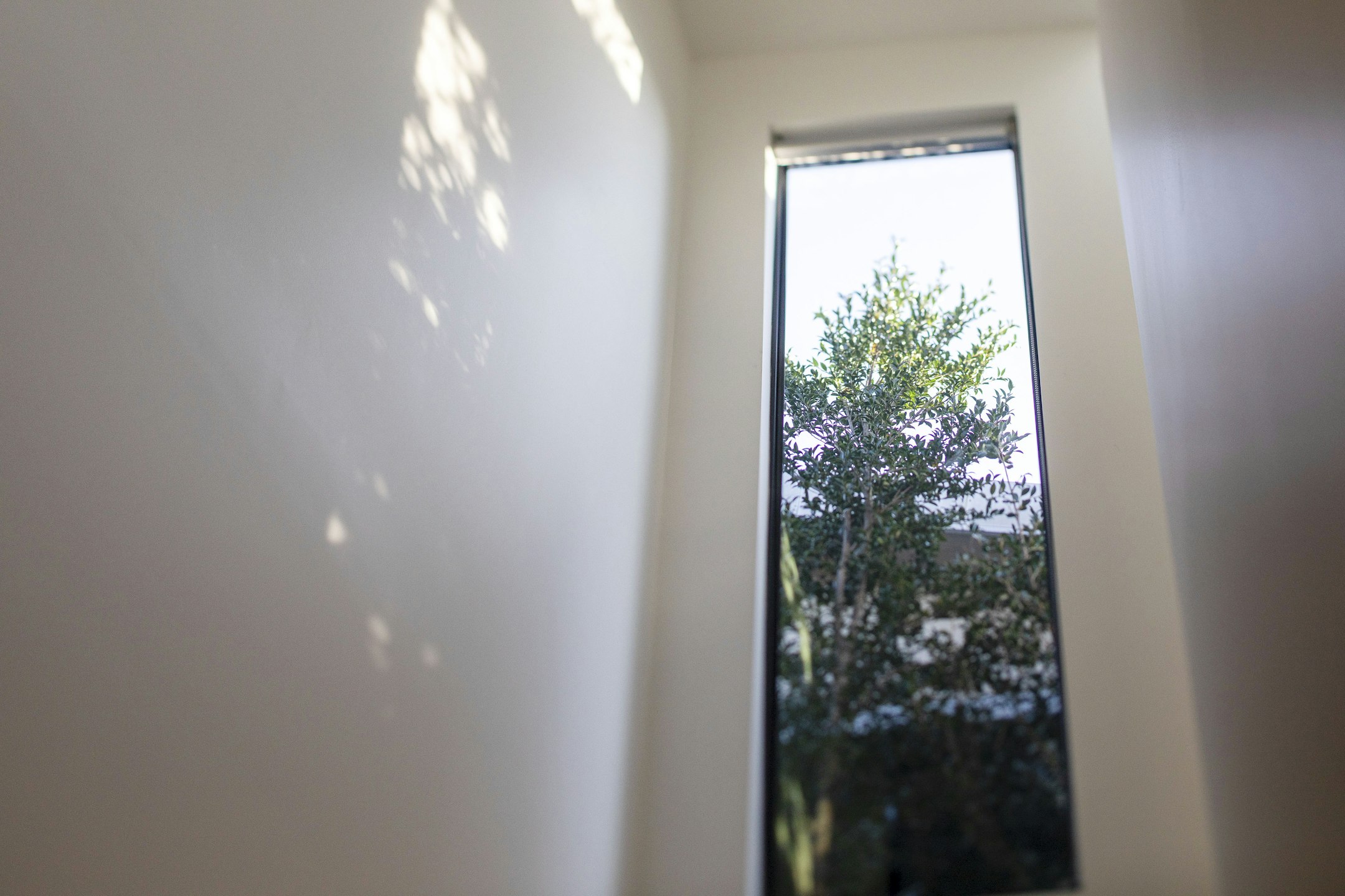 window