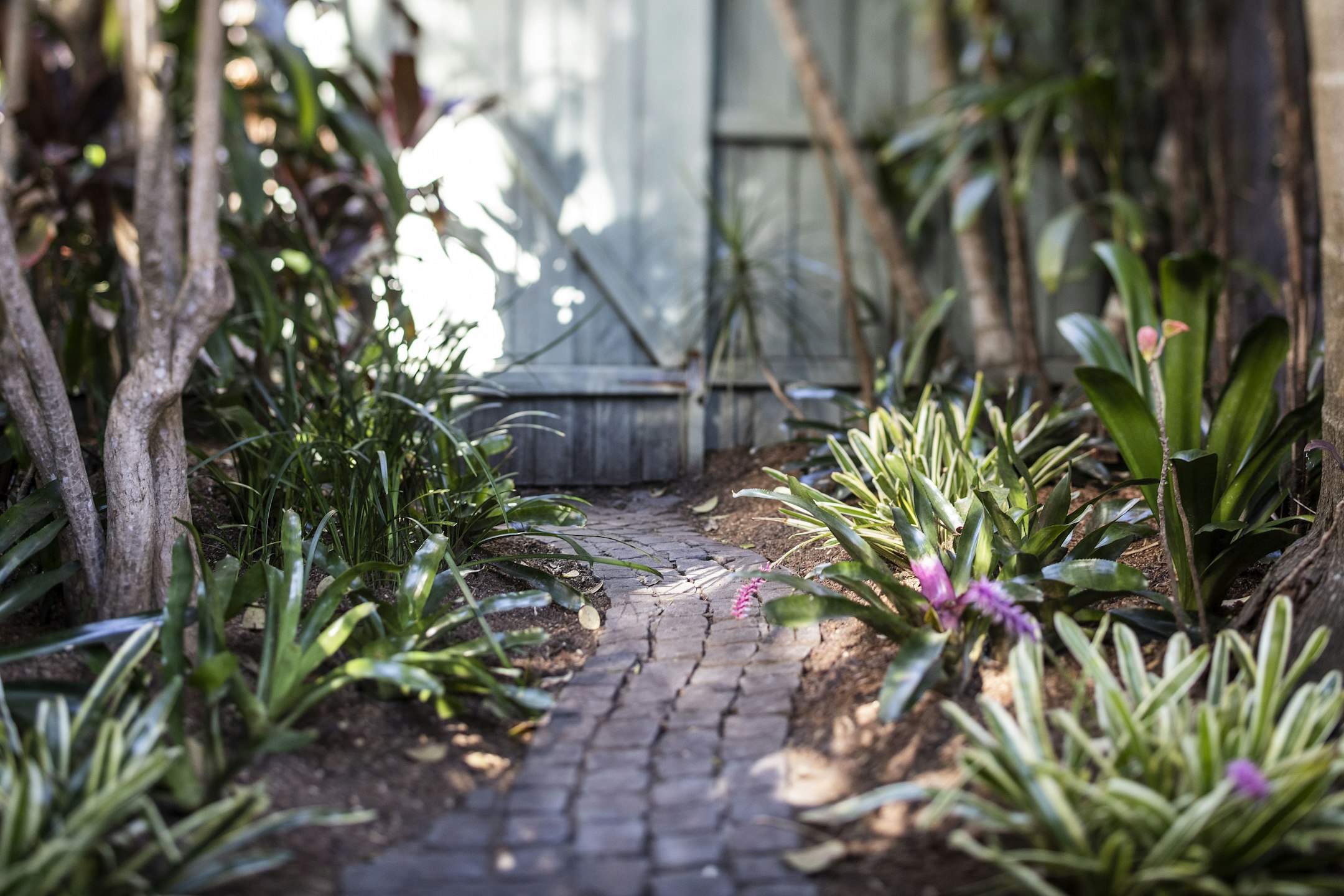 path