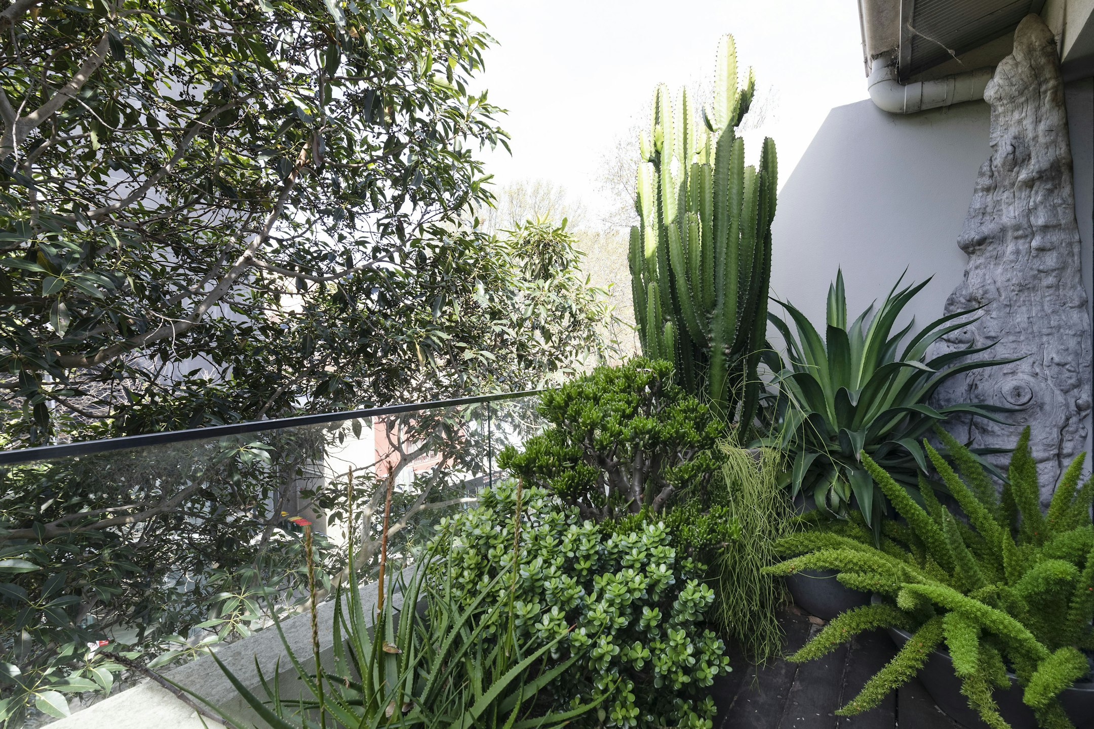 garden