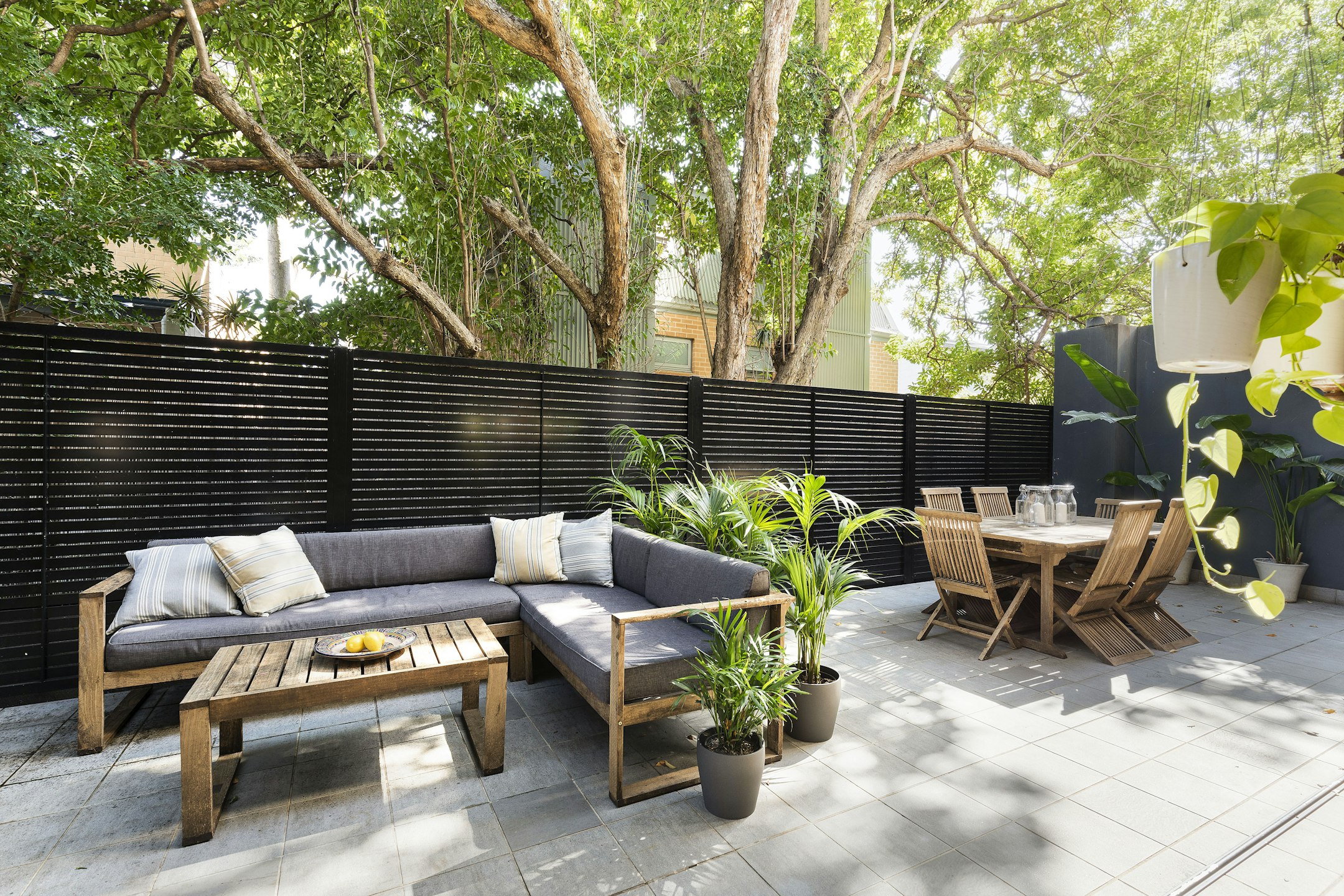 backyard