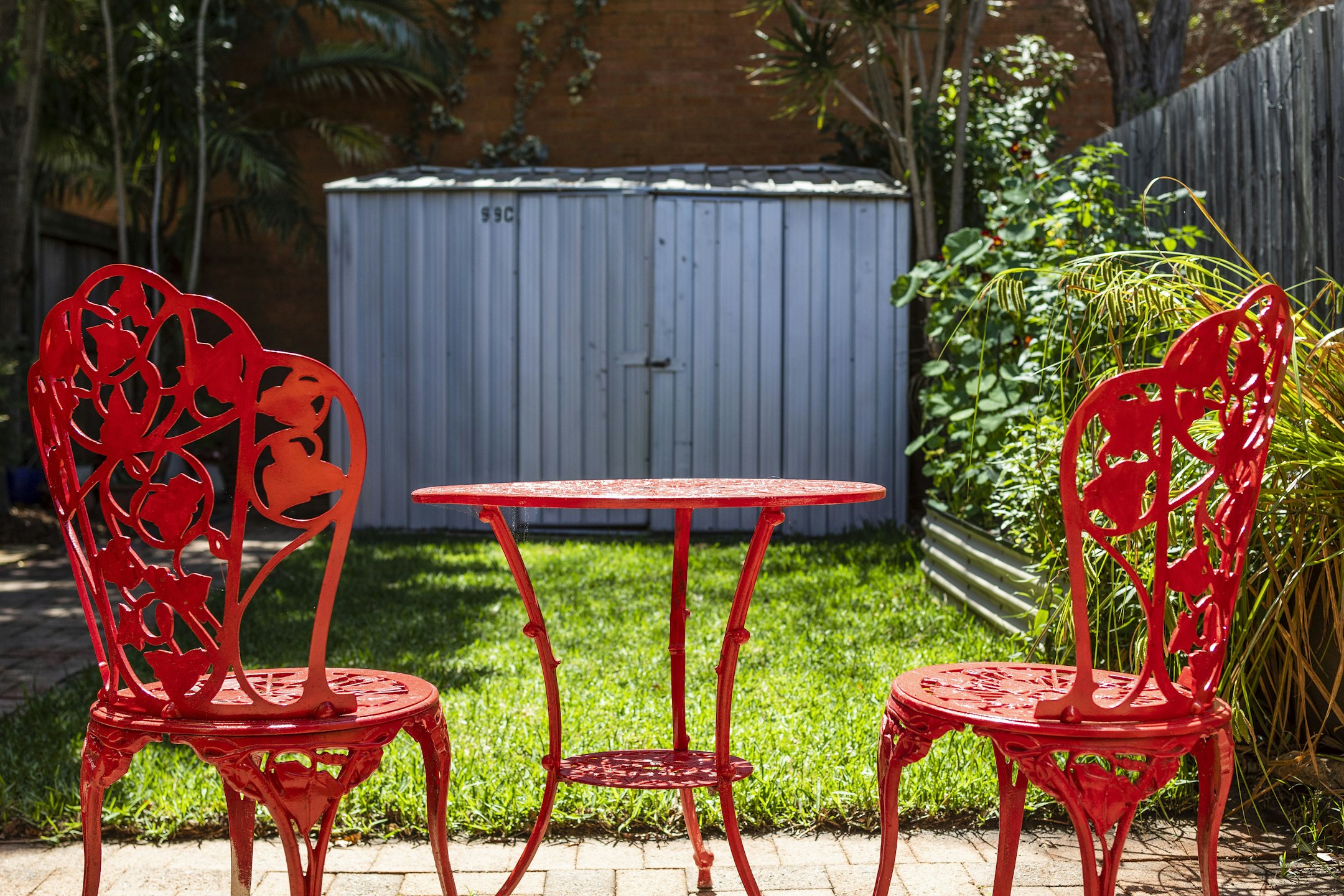 backyard