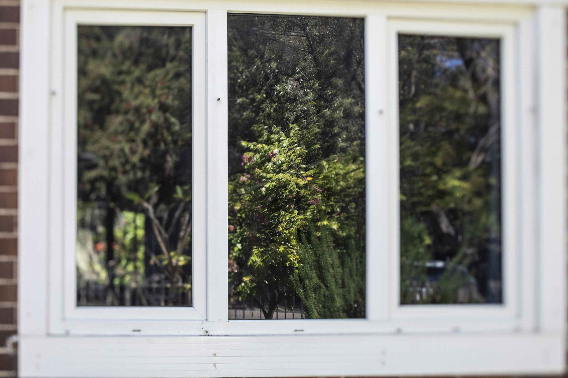 window
