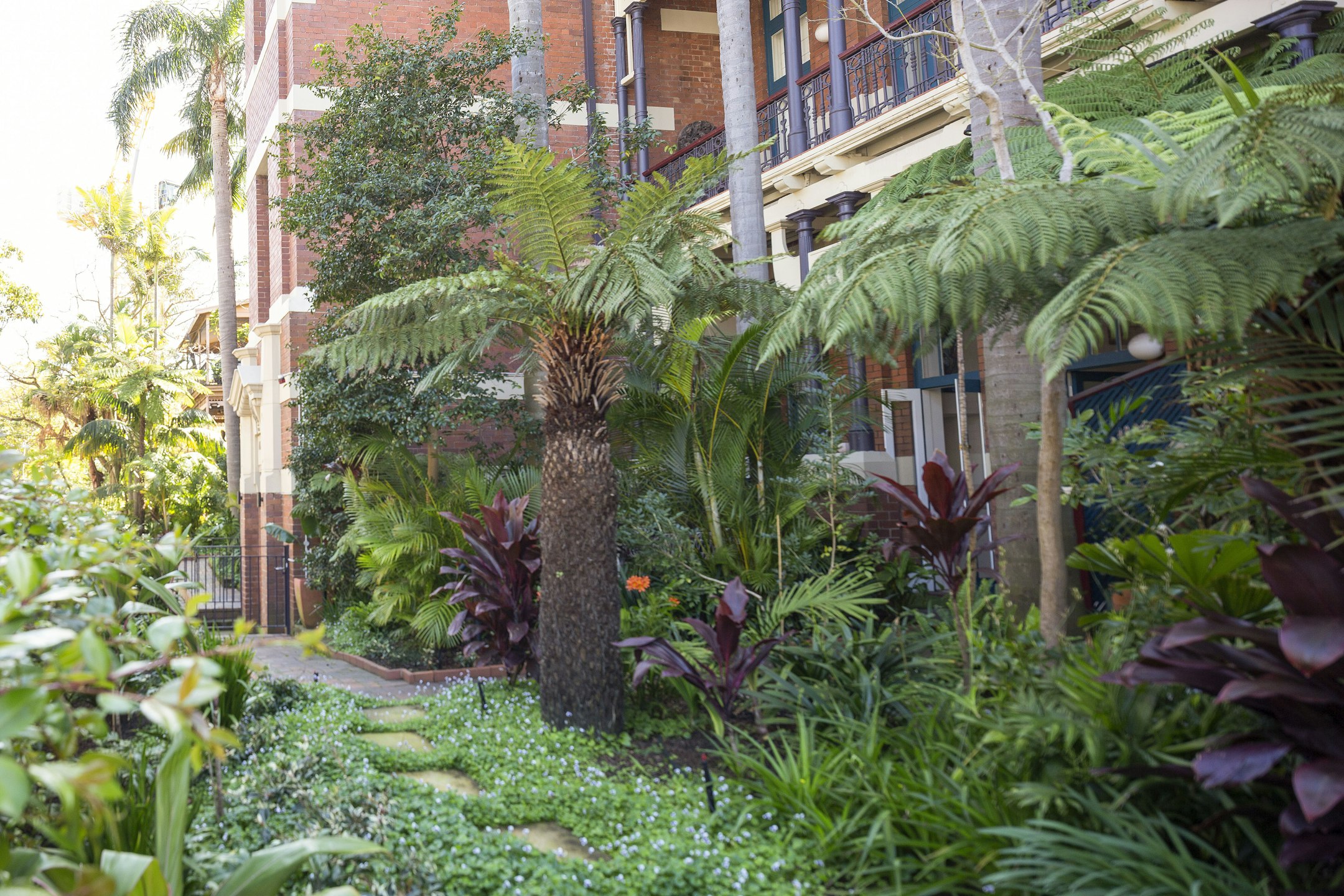garden