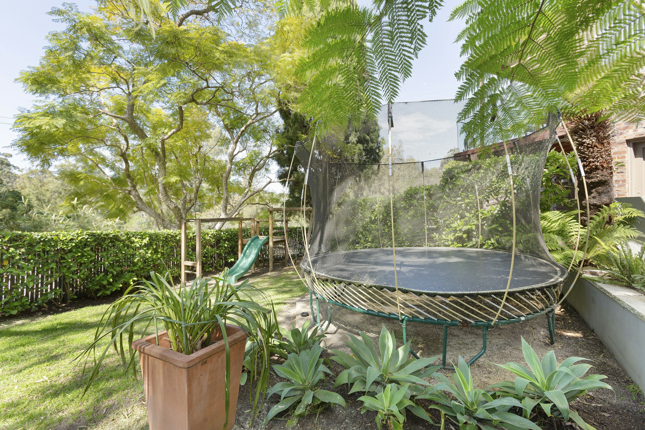 backyard