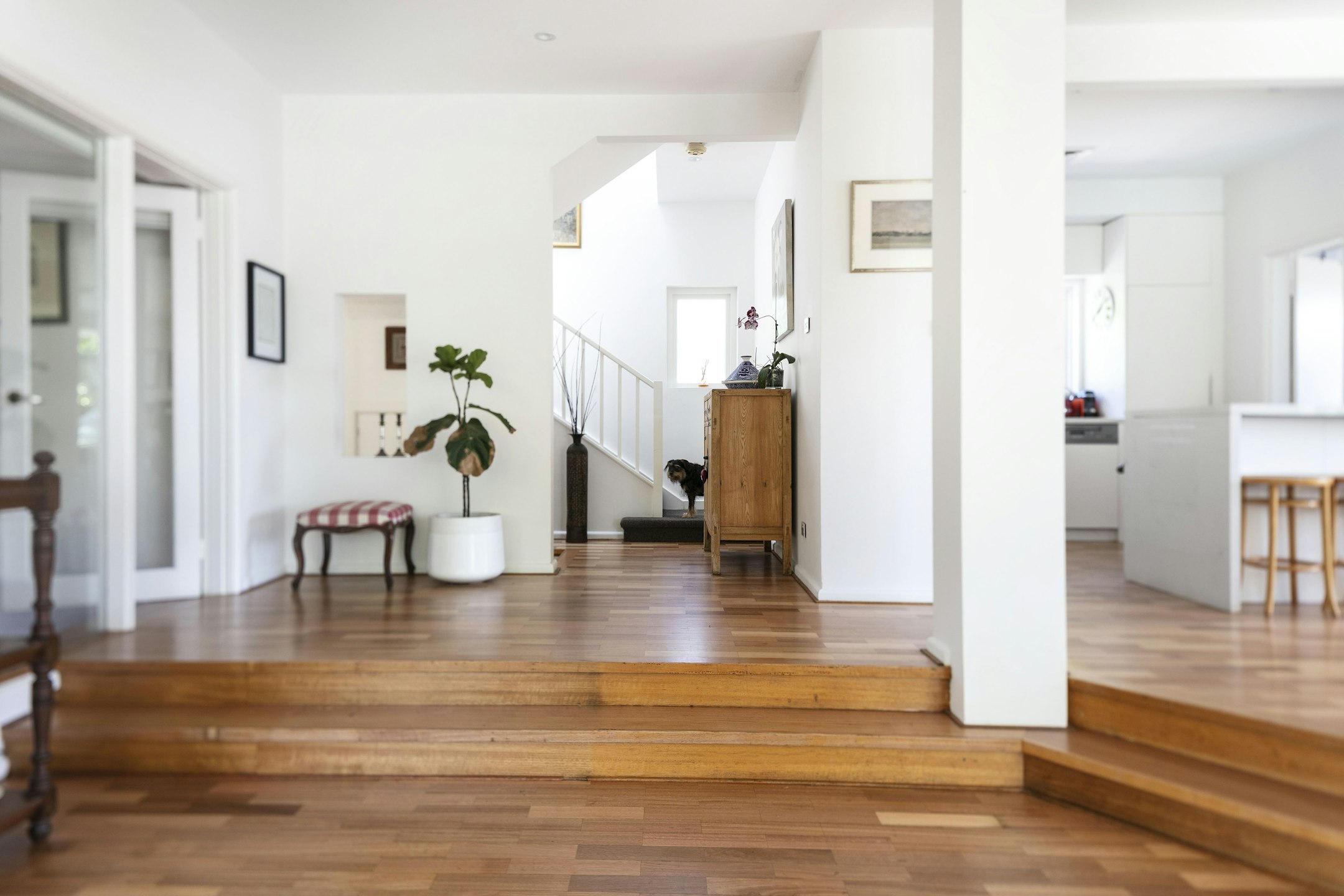 floor