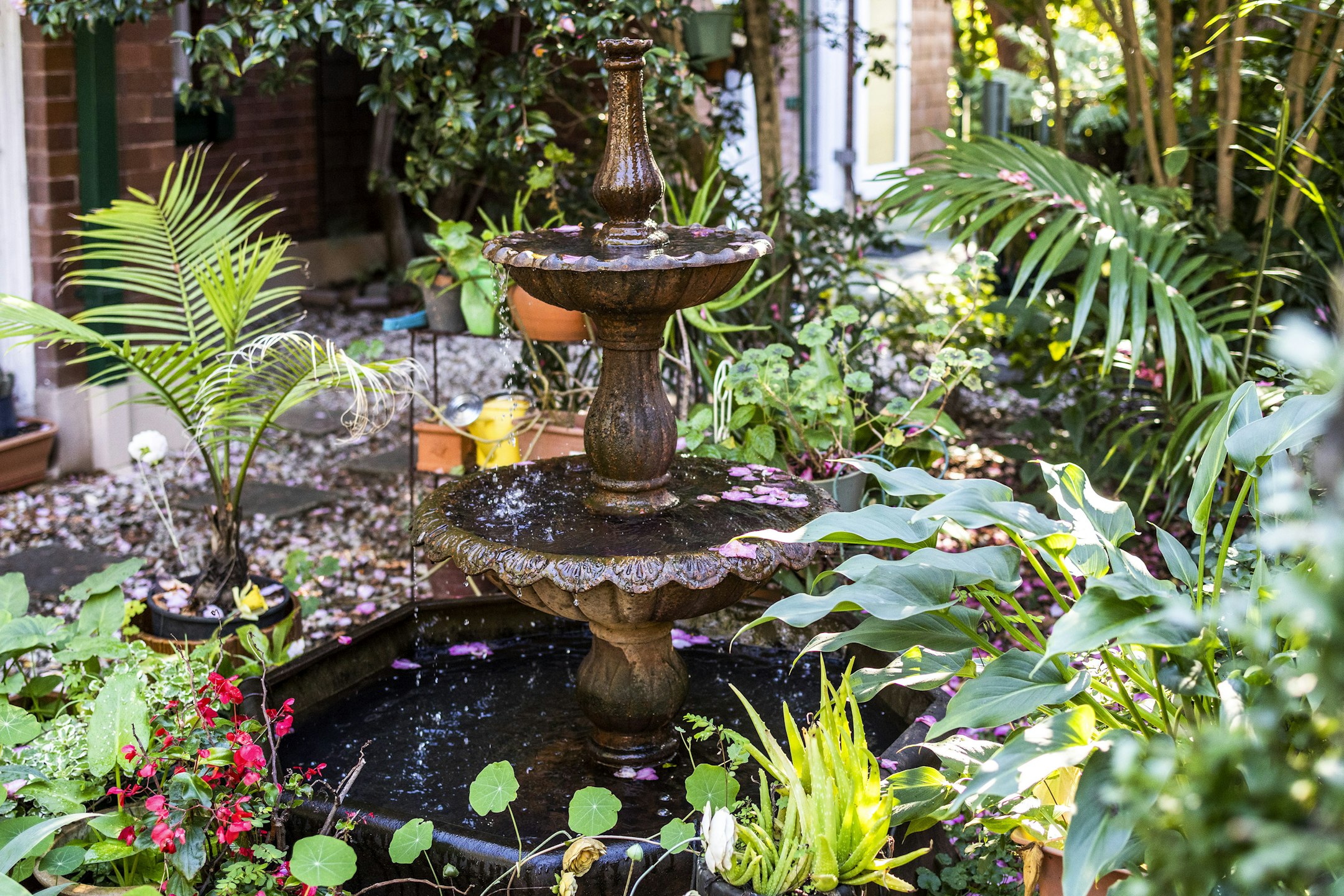 garden