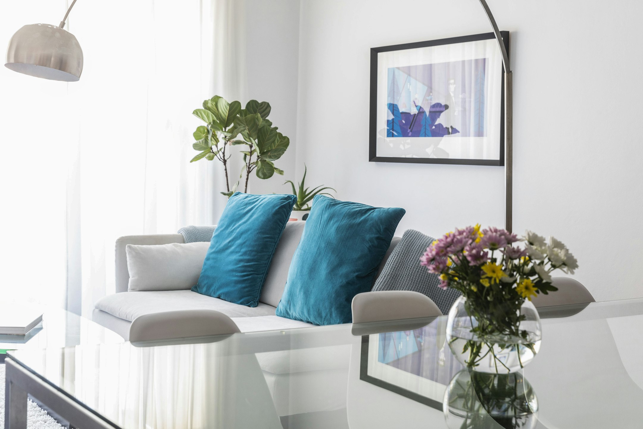 cushion